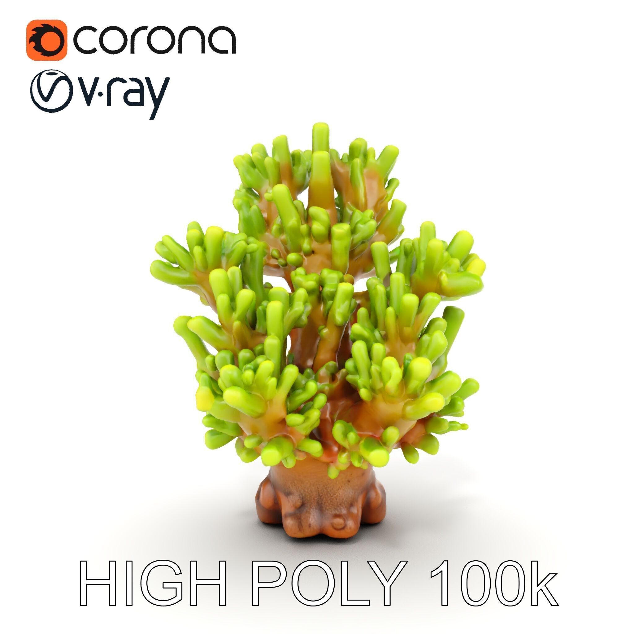 Vibrant Coral Model Pack for Aquatic Environments Low-poly 3D model_12
