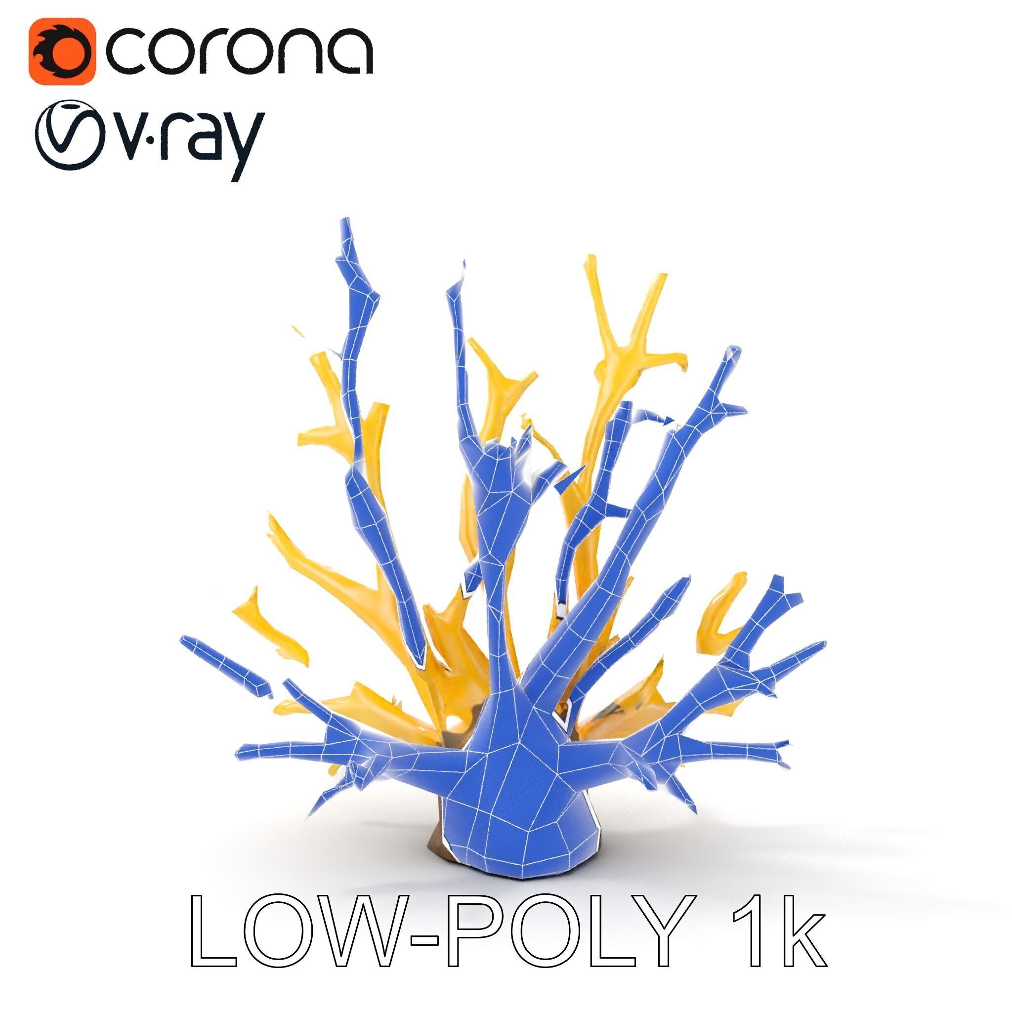 Realistic Coral Model Pack for Marine Environments Low-poly 3D model_25