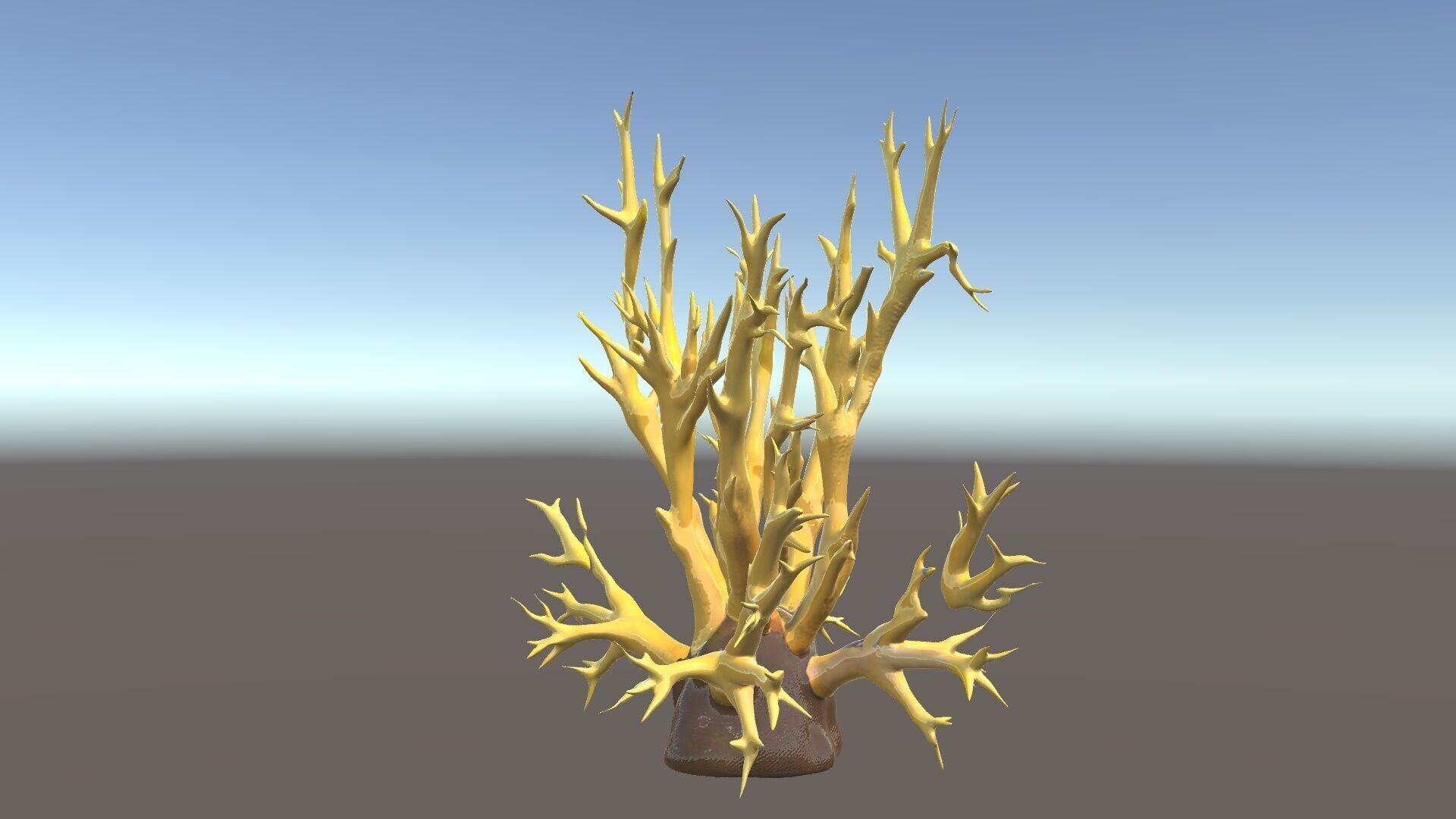 Realistic Coral Model Pack for Marine Environments Low-poly 3D model_5
