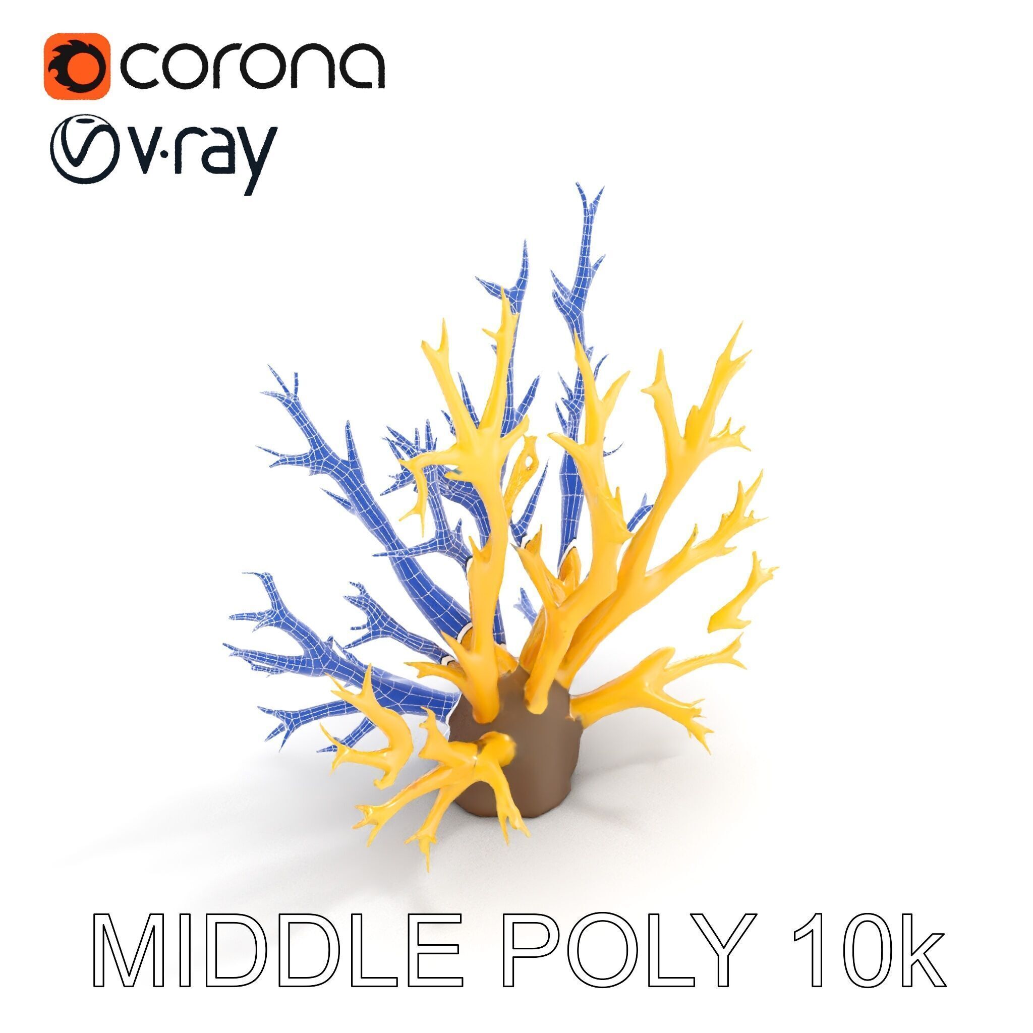 Realistic Coral Model Pack for Marine Environments Low-poly 3D model_8