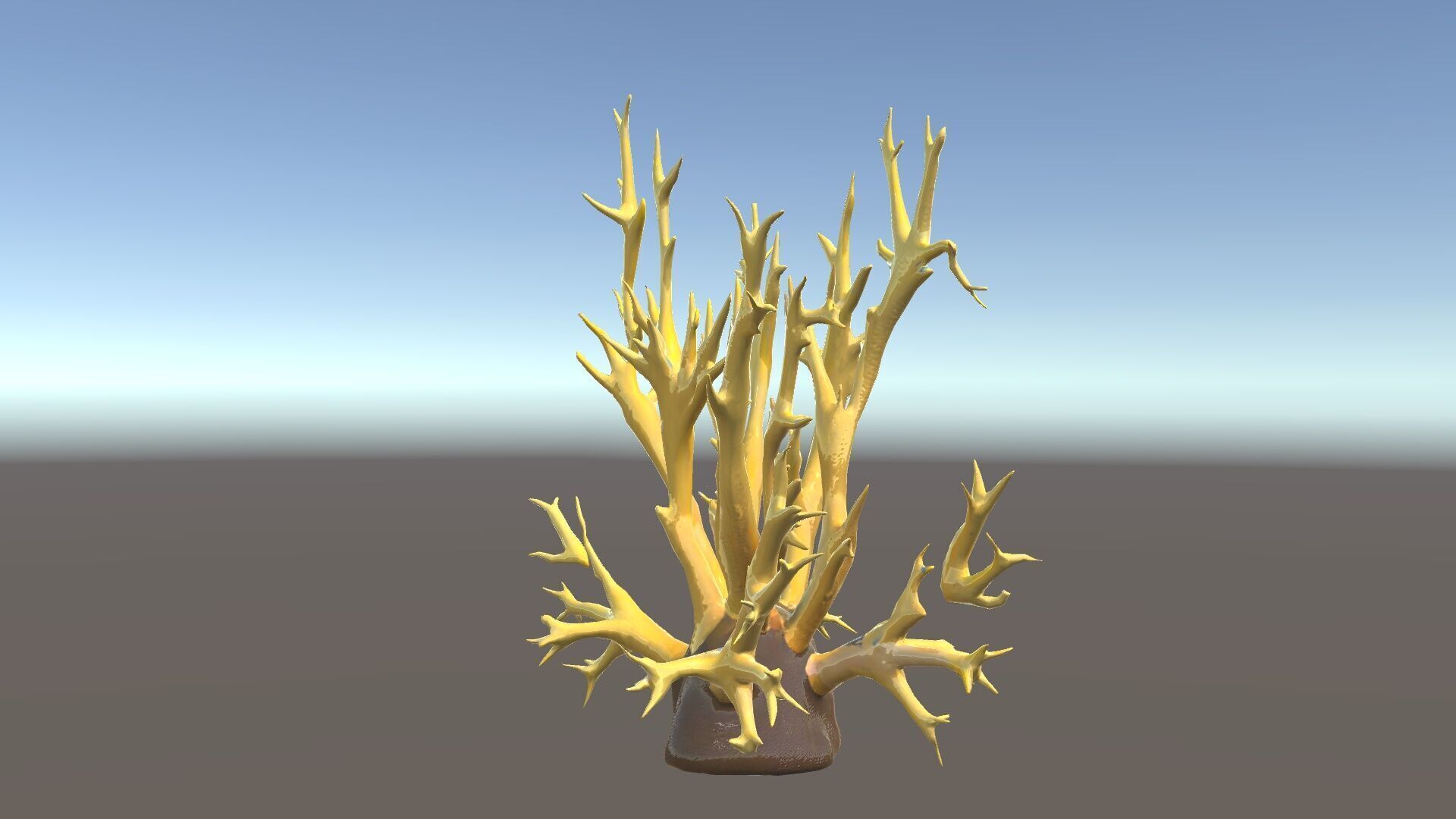 Realistic Coral Model Pack for Marine Environments Low-poly 3D model_33