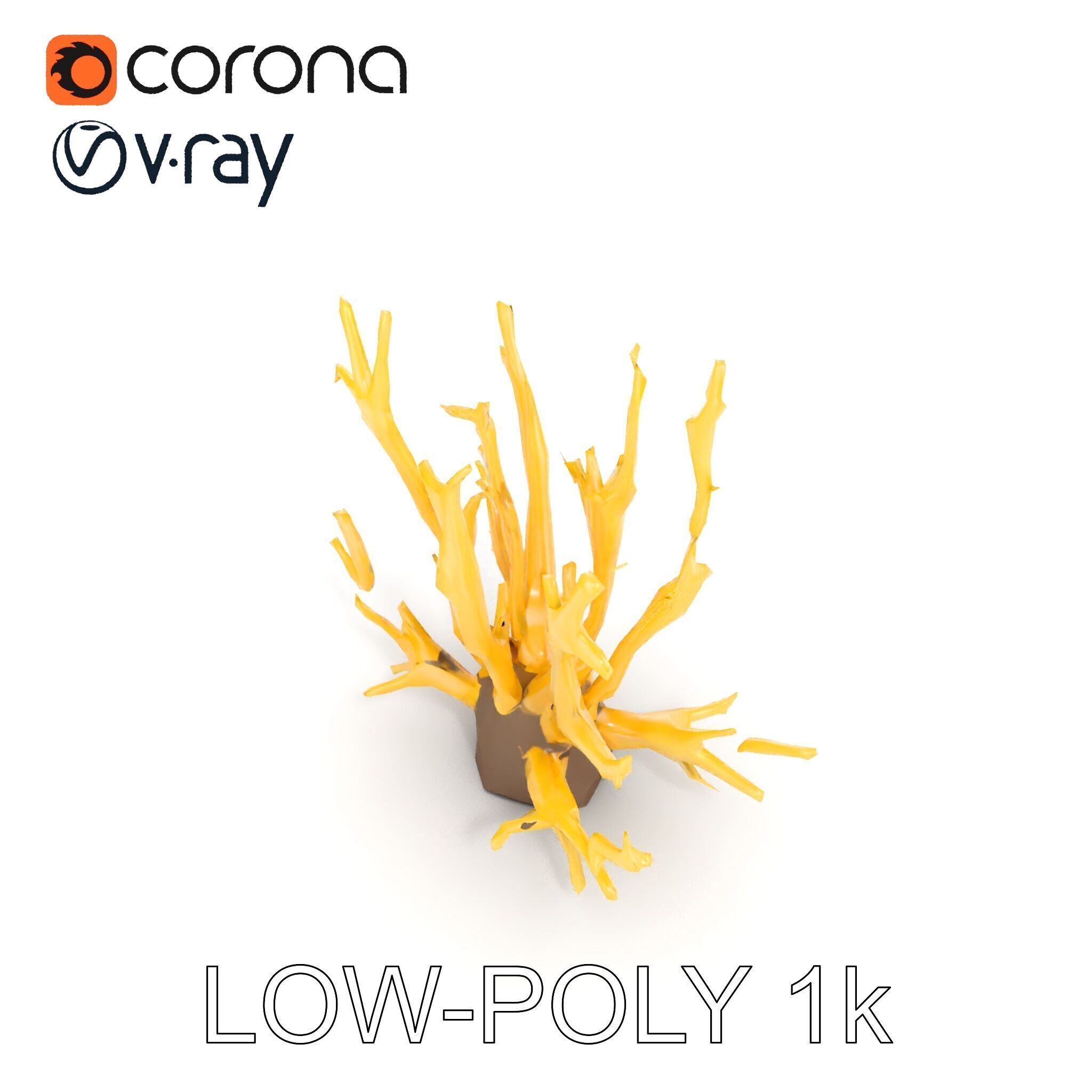 Realistic Coral Model Pack for Marine Environments Low-poly 3D model_7