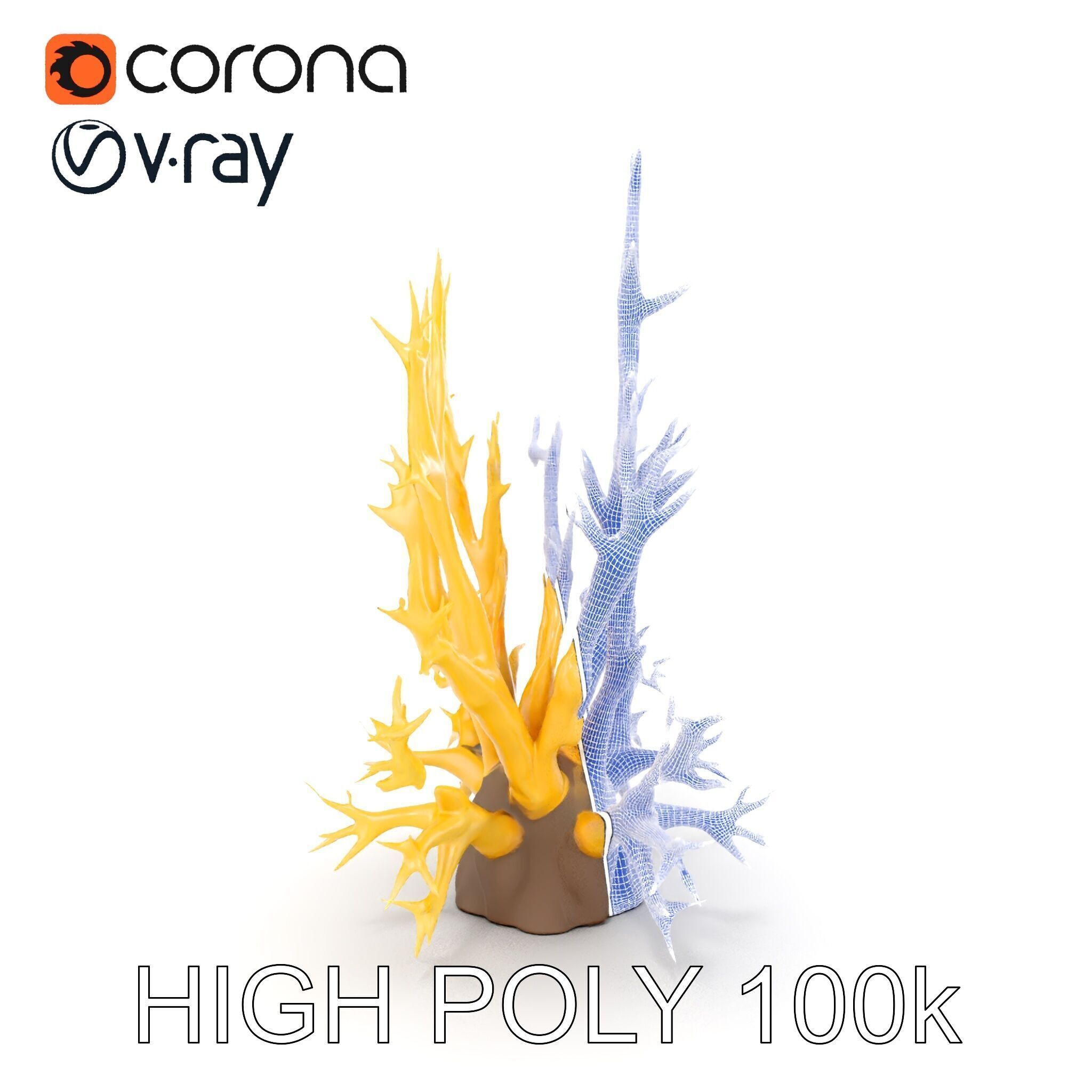 Realistic Coral Model Pack for Marine Environments Low-poly 3D model_26