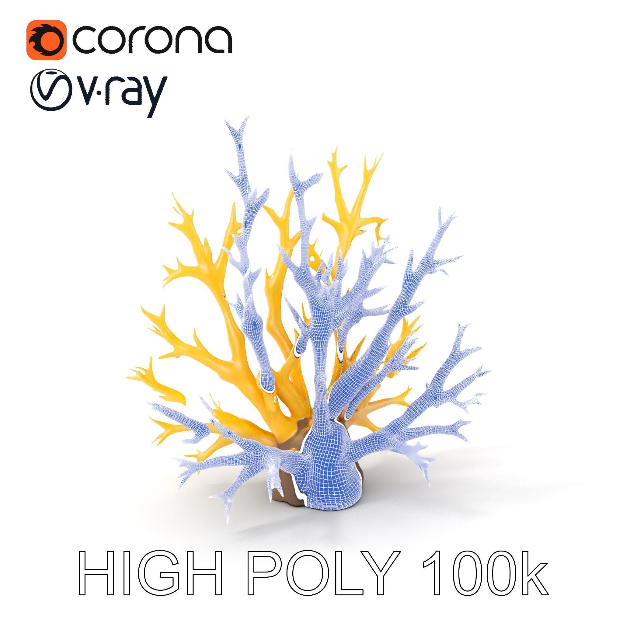 Realistic Coral Model Pack for Marine Environments Low-poly 3D model_4