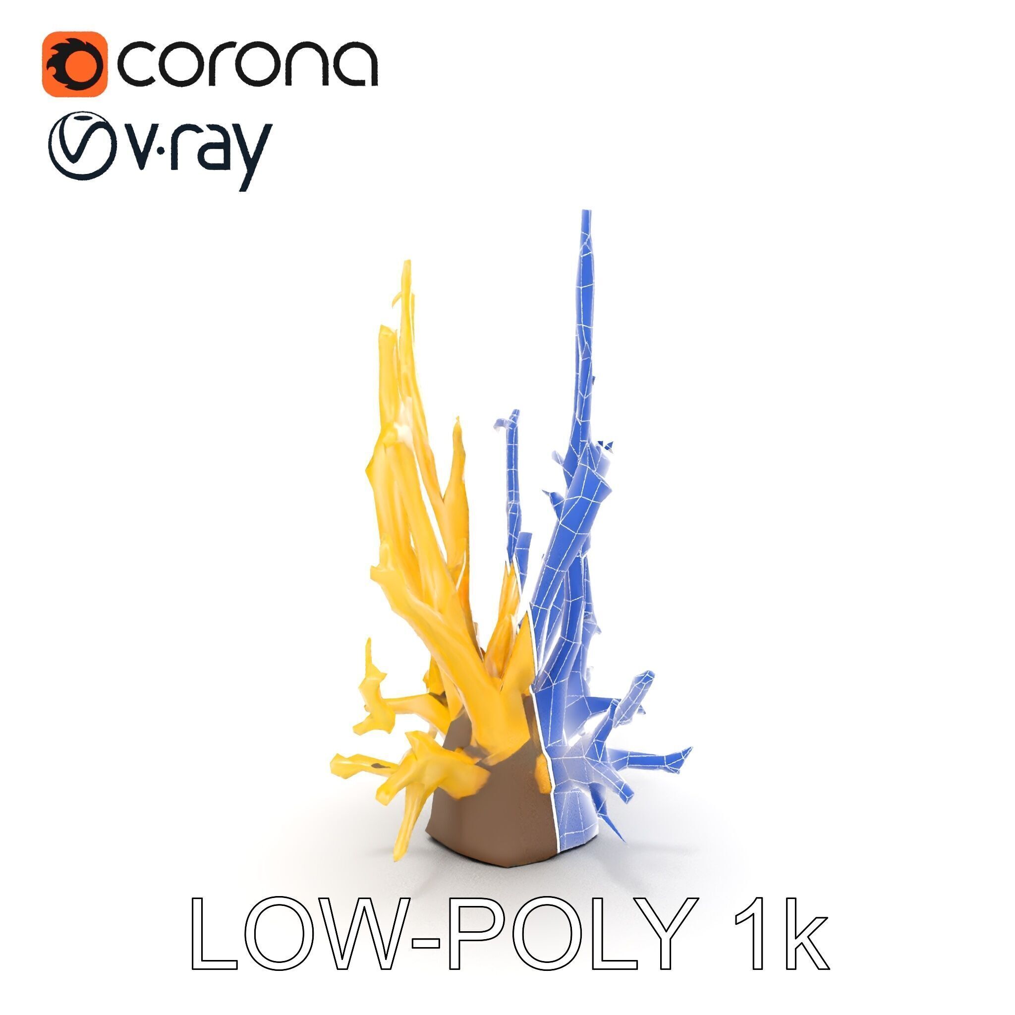 Realistic Coral Model Pack for Marine Environments Low-poly 3D model_14