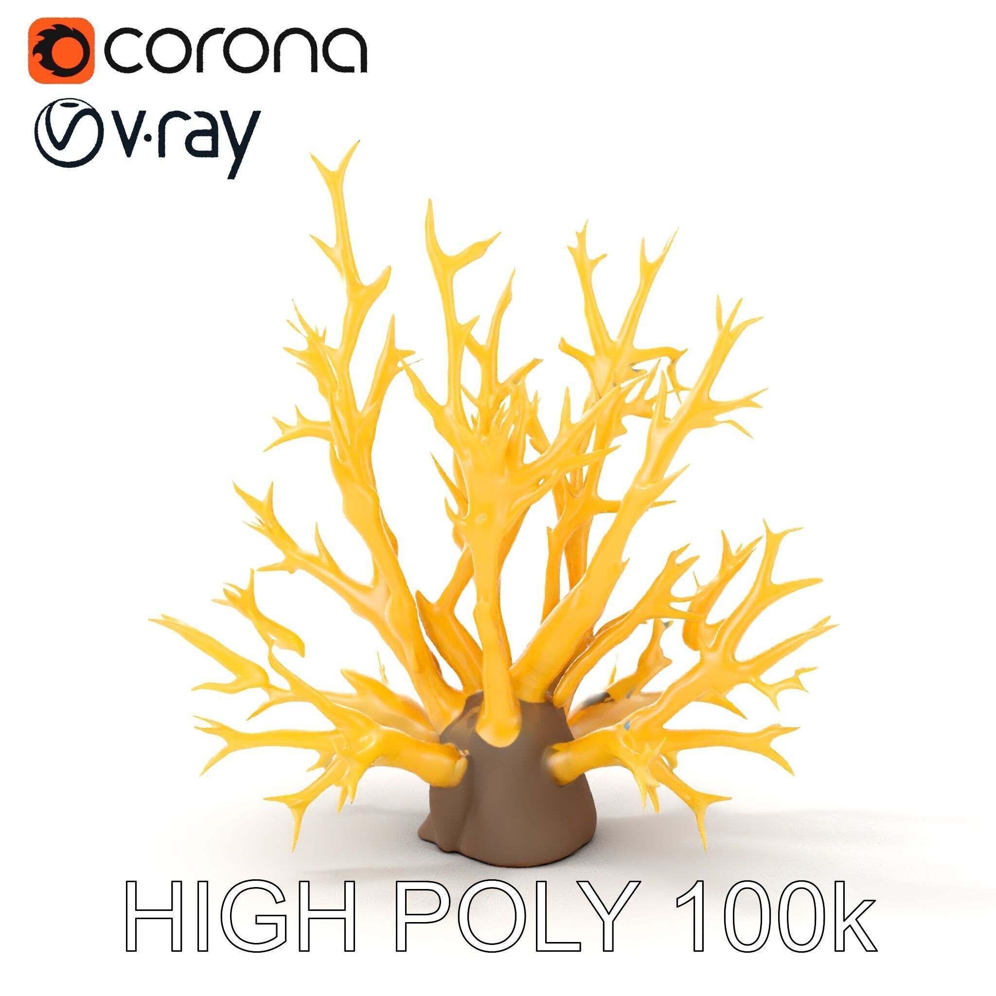 Realistic Coral Model Pack for Marine Environments Low-poly 3D model_18