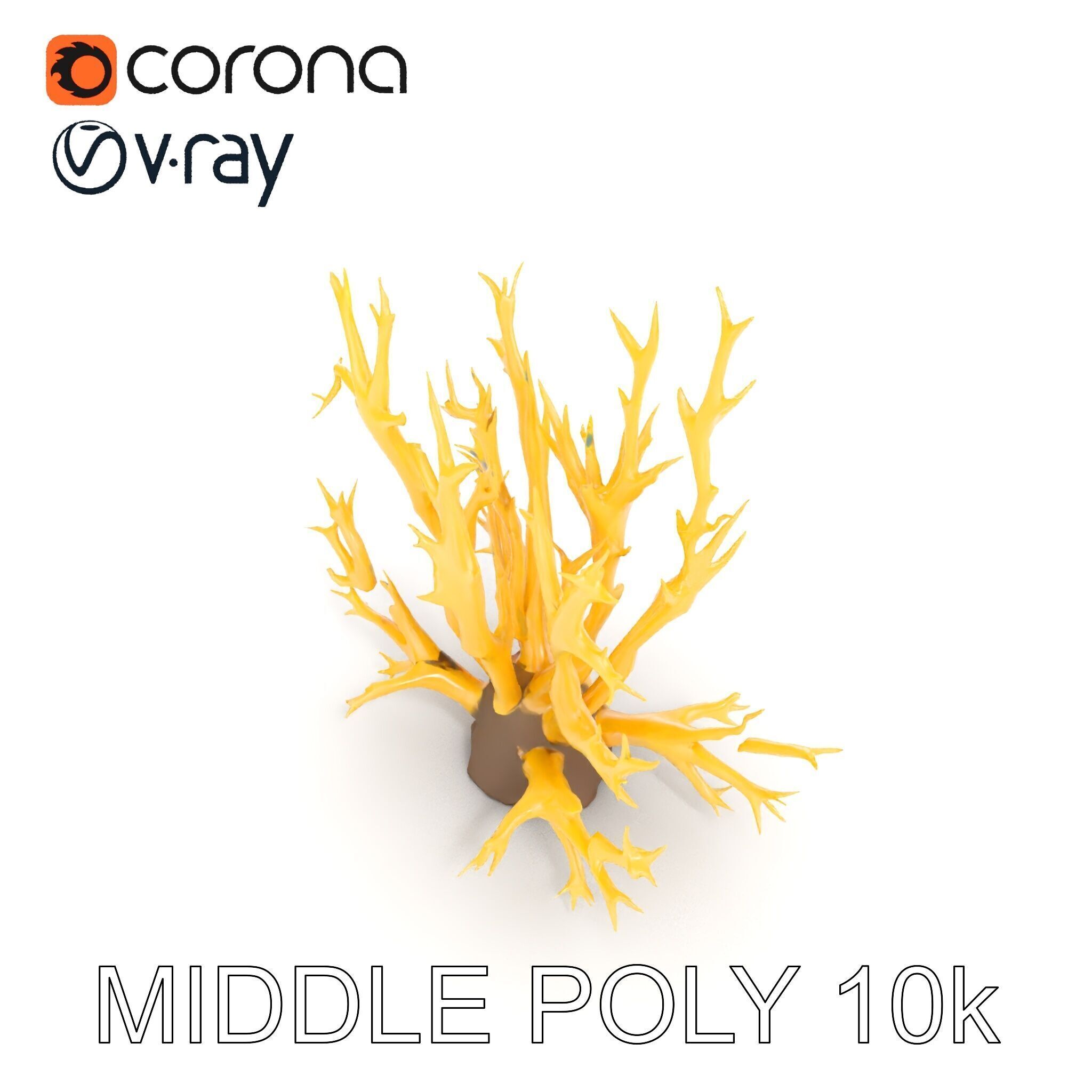 Realistic Coral Model Pack for Marine Environments Low-poly 3D model_13