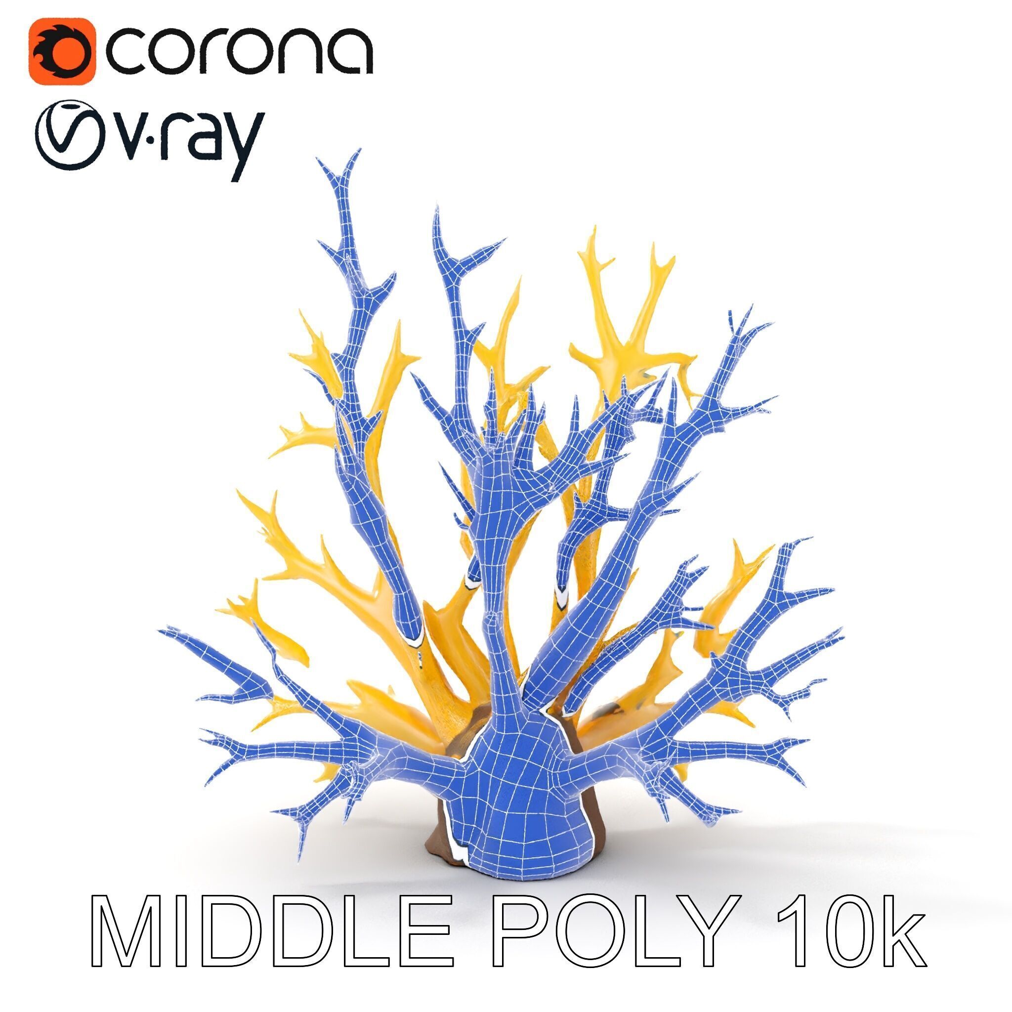 Realistic Coral Model Pack for Marine Environments Low-poly 3D model_16