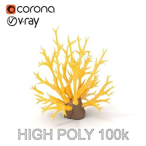 Realistic Coral Model Pack for Marine Environments Low-poly 3D model