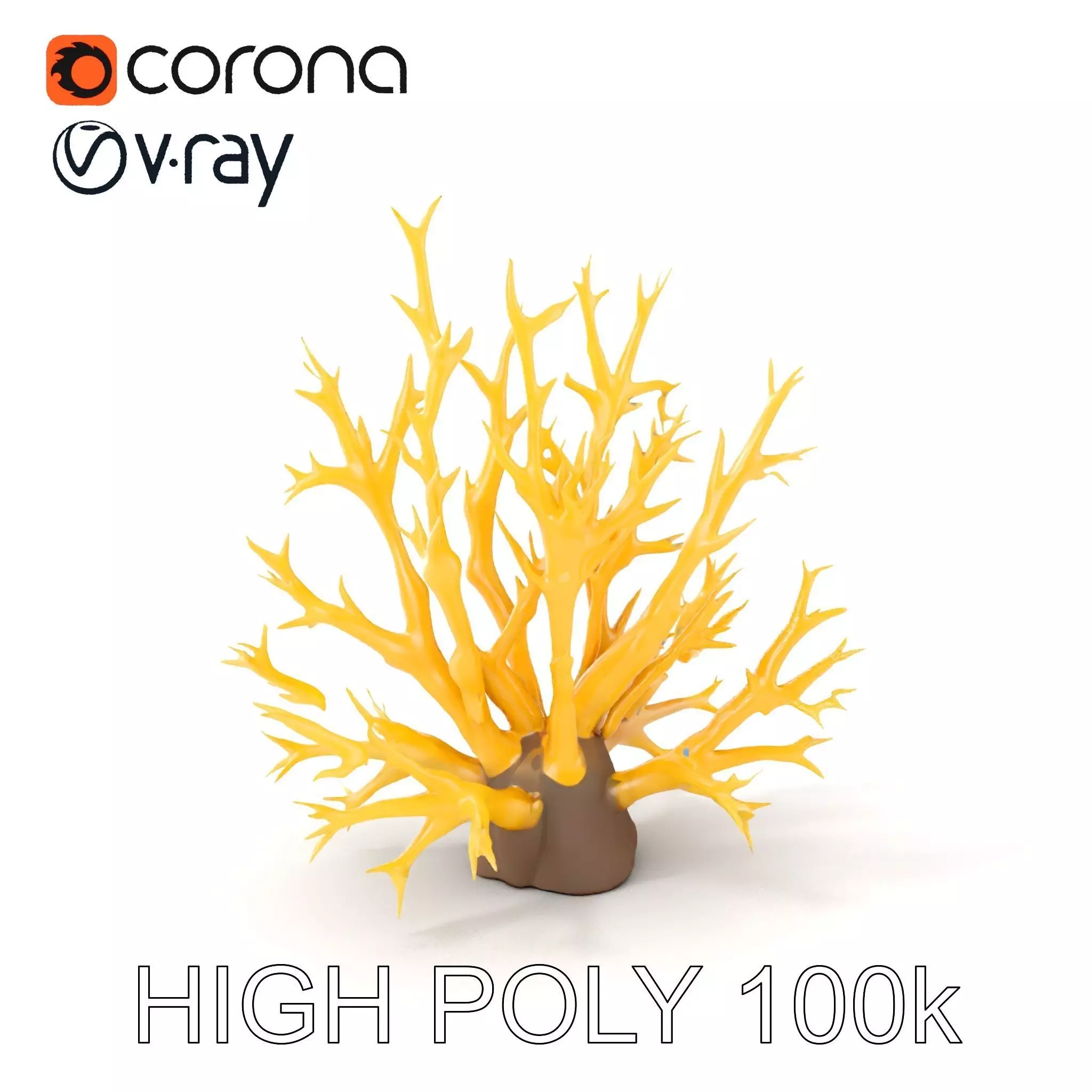 Realistic Coral Model Pack for Marine Environments Low-poly 3D model_0