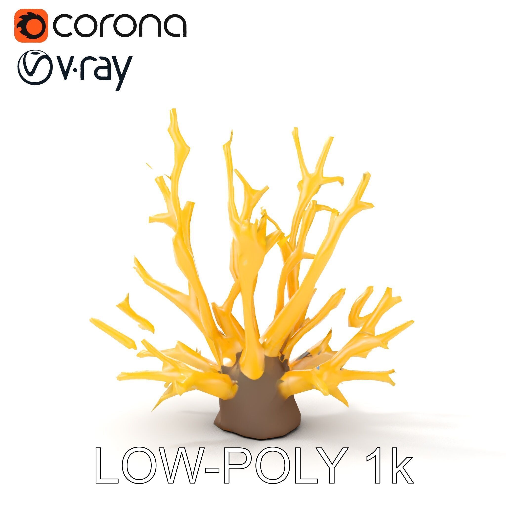 Realistic Coral Model Pack for Marine Environments Low-poly 3D model_22