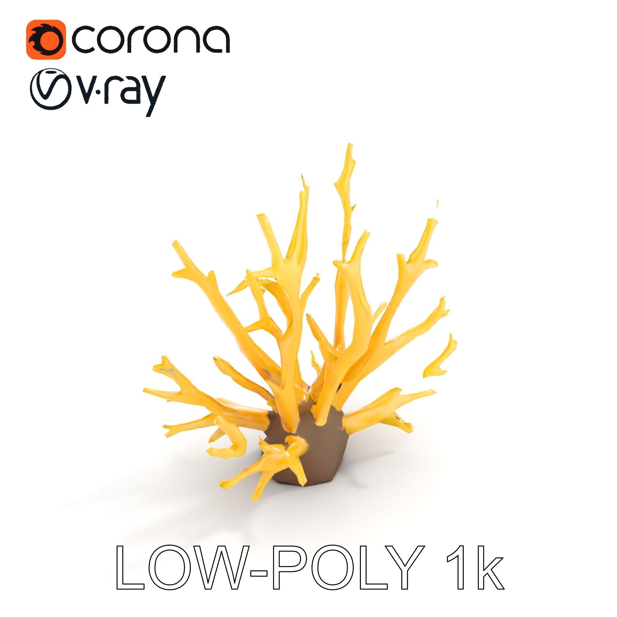 Realistic Coral Model Pack for Marine Environments Low-poly 3D model_20
