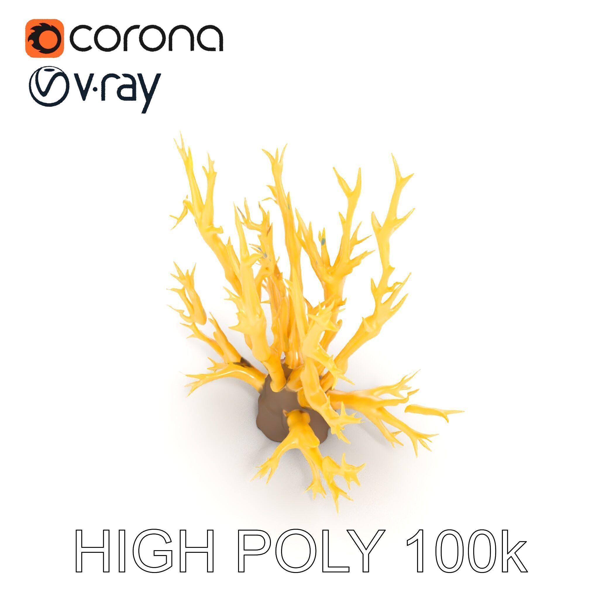 Realistic Coral Model Pack for Marine Environments Low-poly 3D model_15