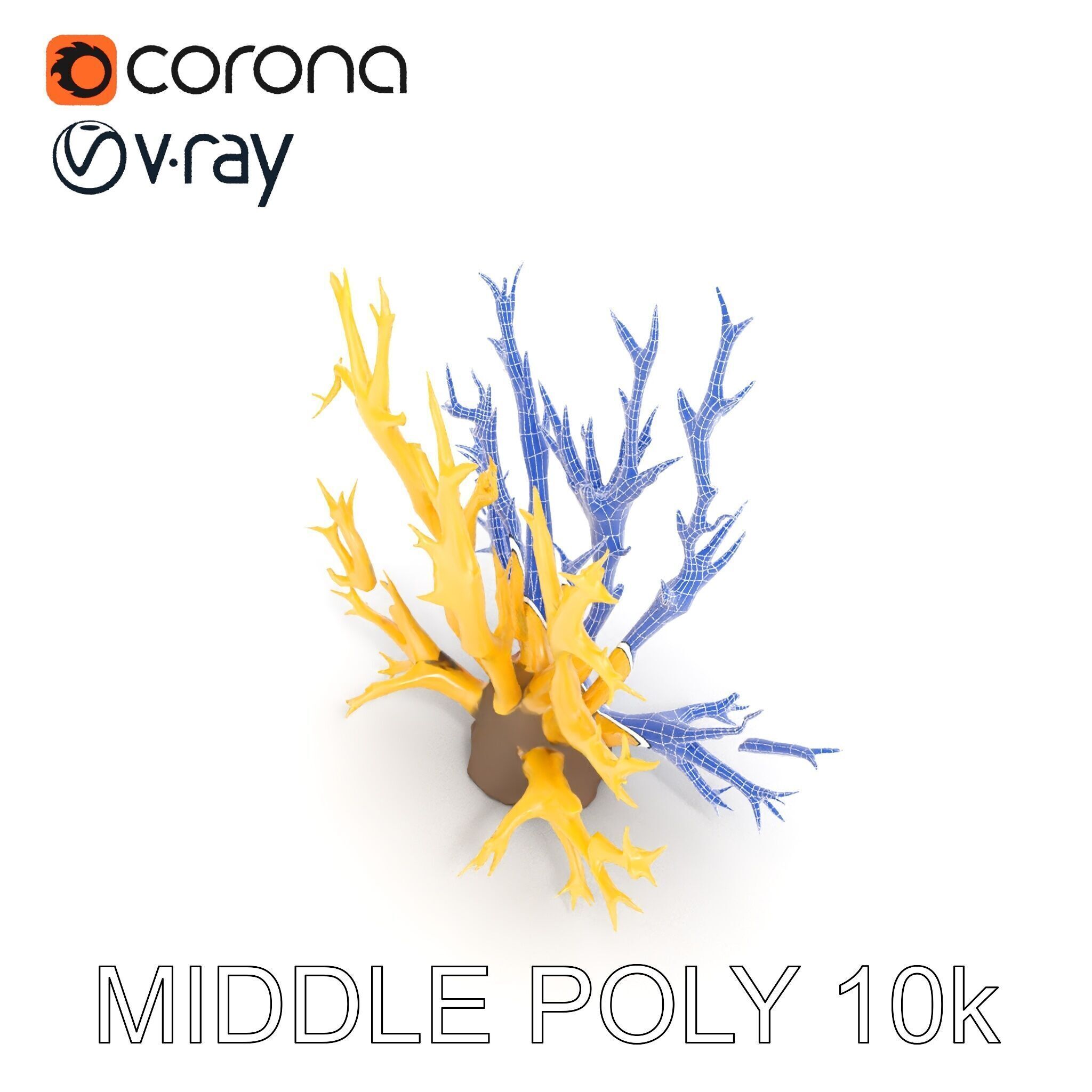 Realistic Coral Model Pack for Marine Environments Low-poly 3D model_24