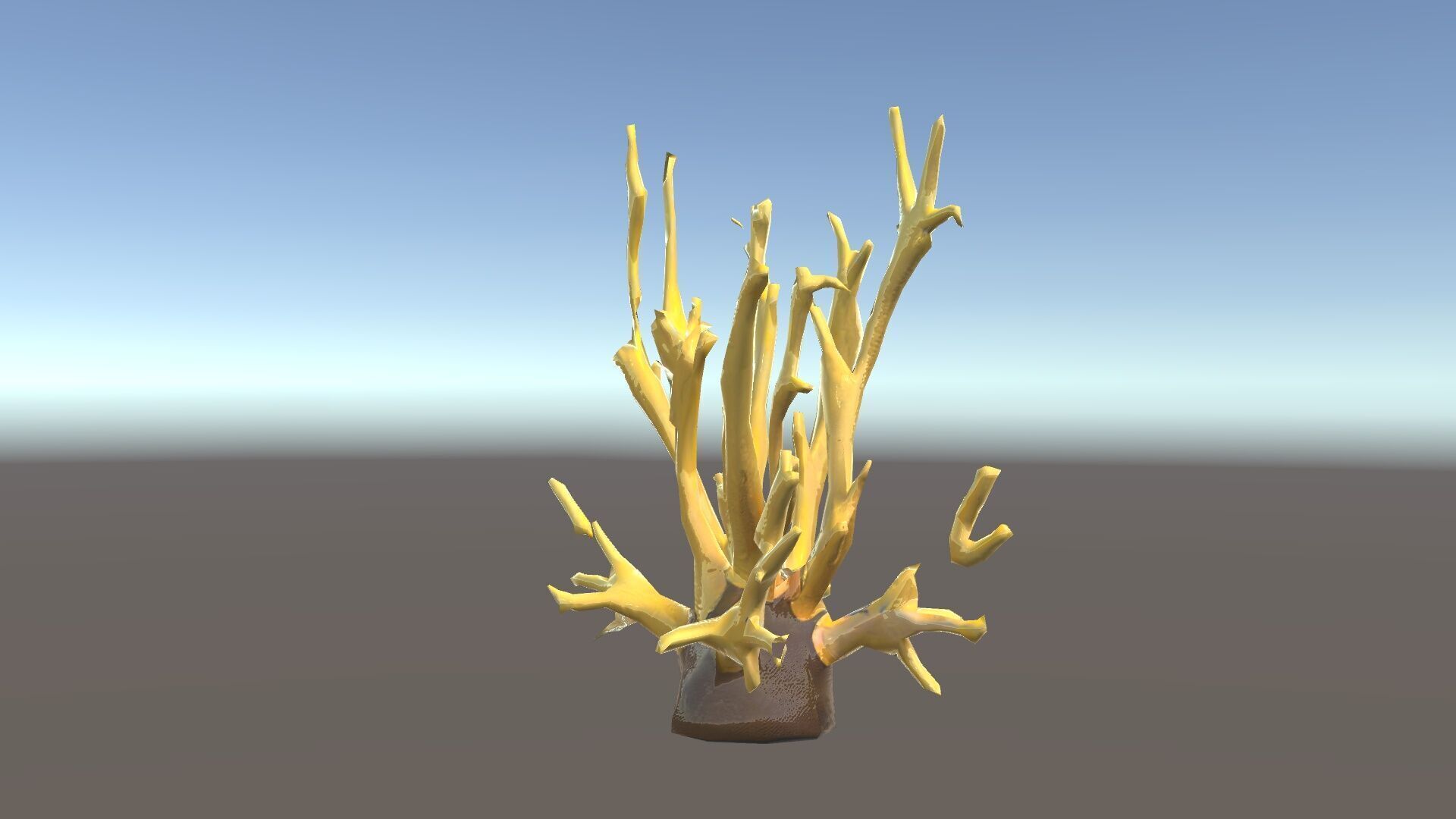 Realistic Coral Model Pack for Marine Environments Low-poly 3D model_34