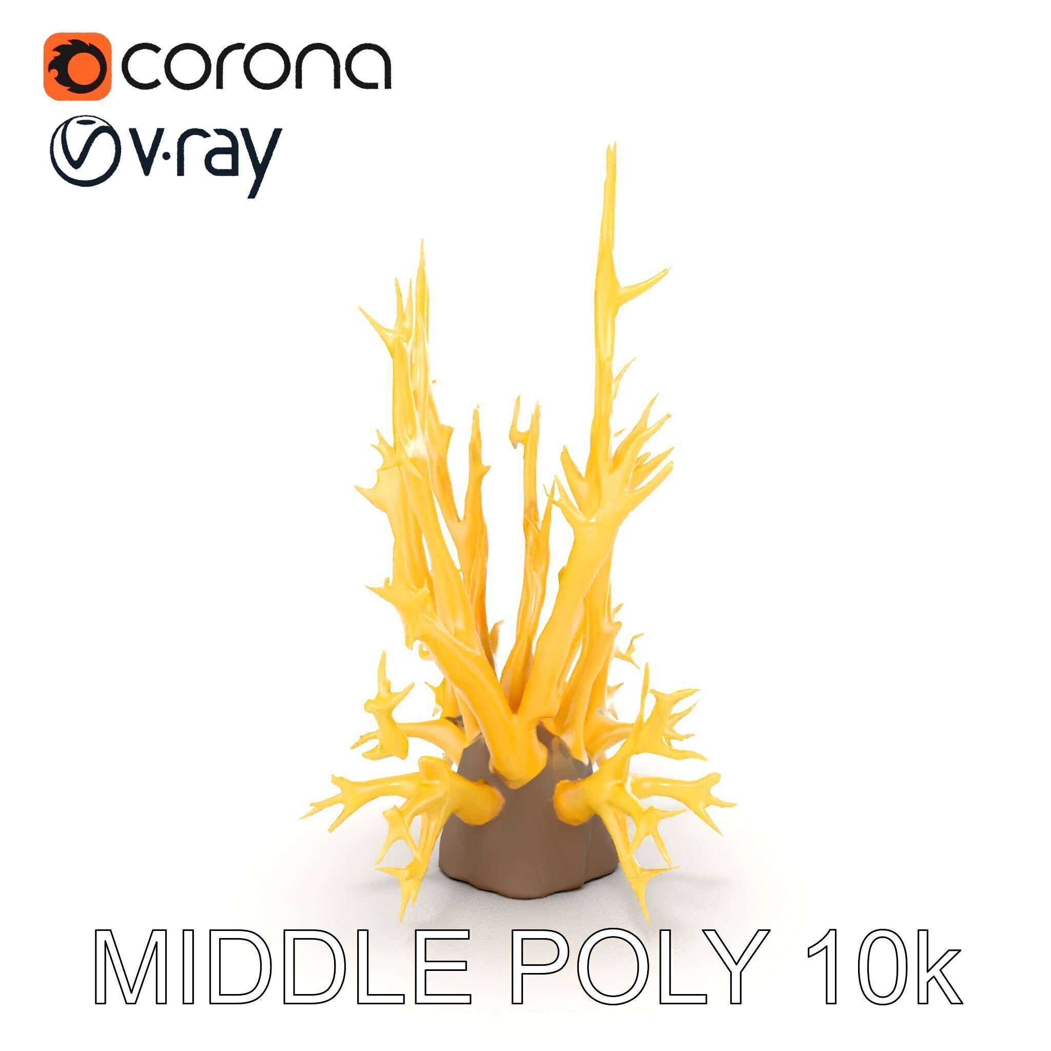 Realistic Coral Model Pack for Marine Environments Low-poly 3D model_30