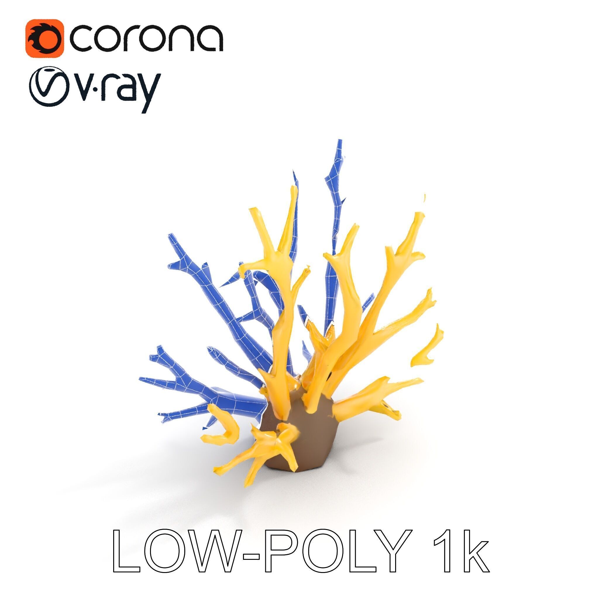 Realistic Coral Model Pack for Marine Environments Low-poly 3D model_31