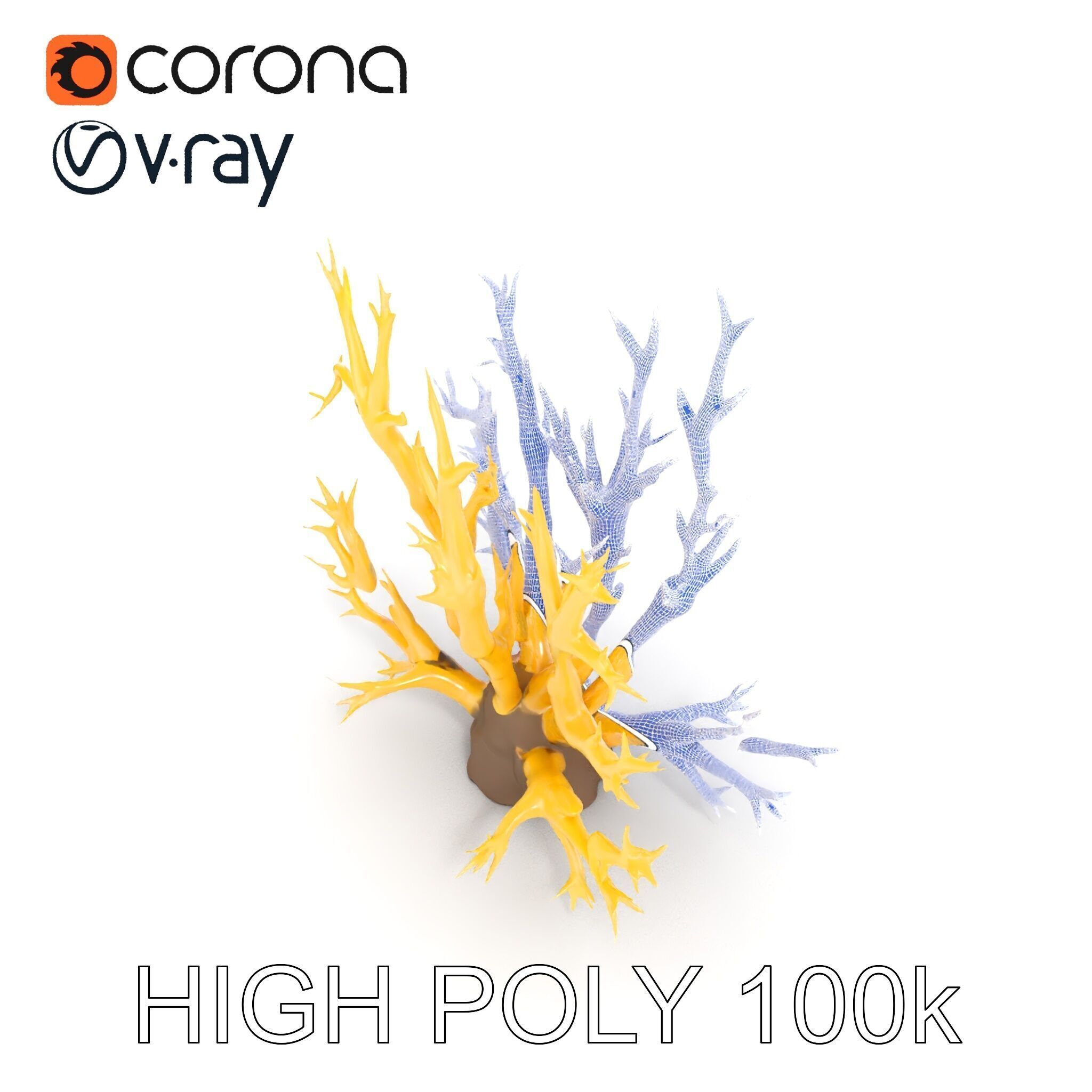 Realistic Coral Model Pack for Marine Environments Low-poly 3D model_32