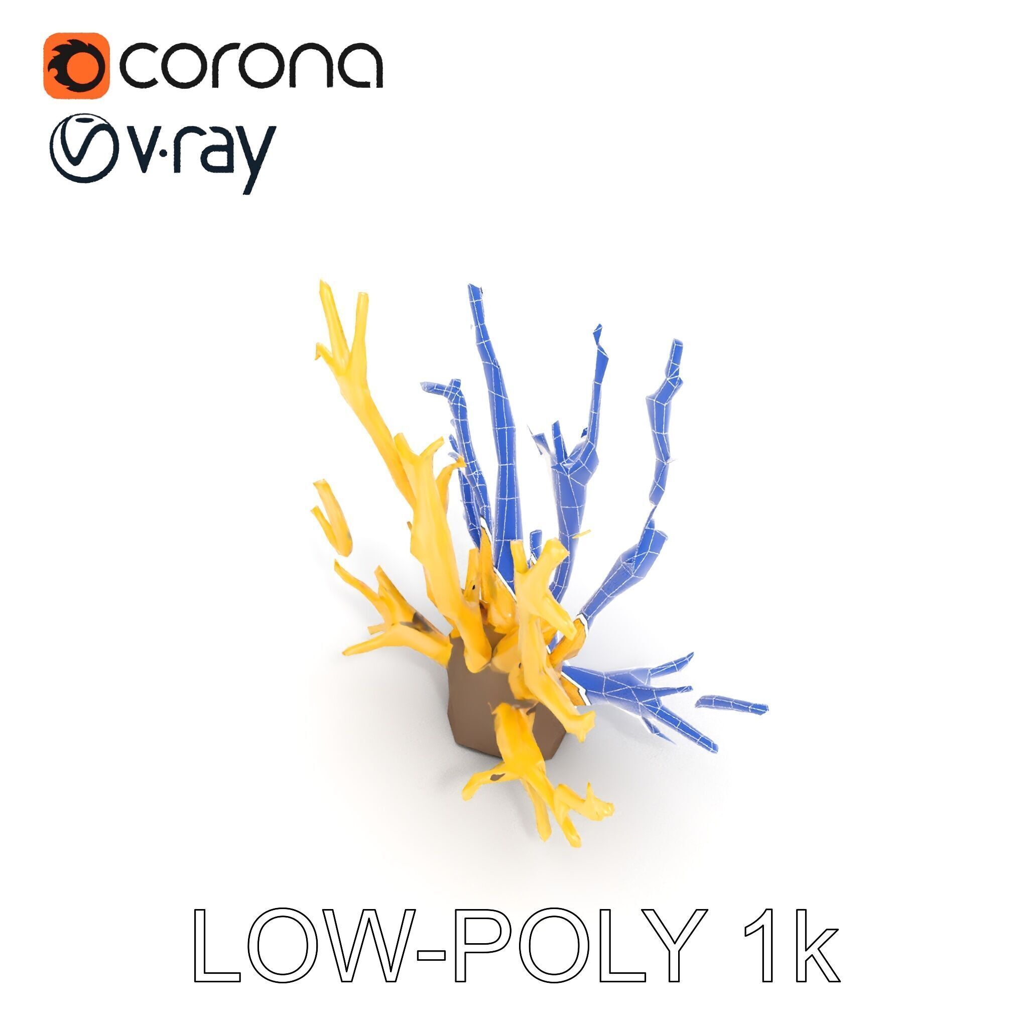 Realistic Coral Model Pack for Marine Environments Low-poly 3D model_28