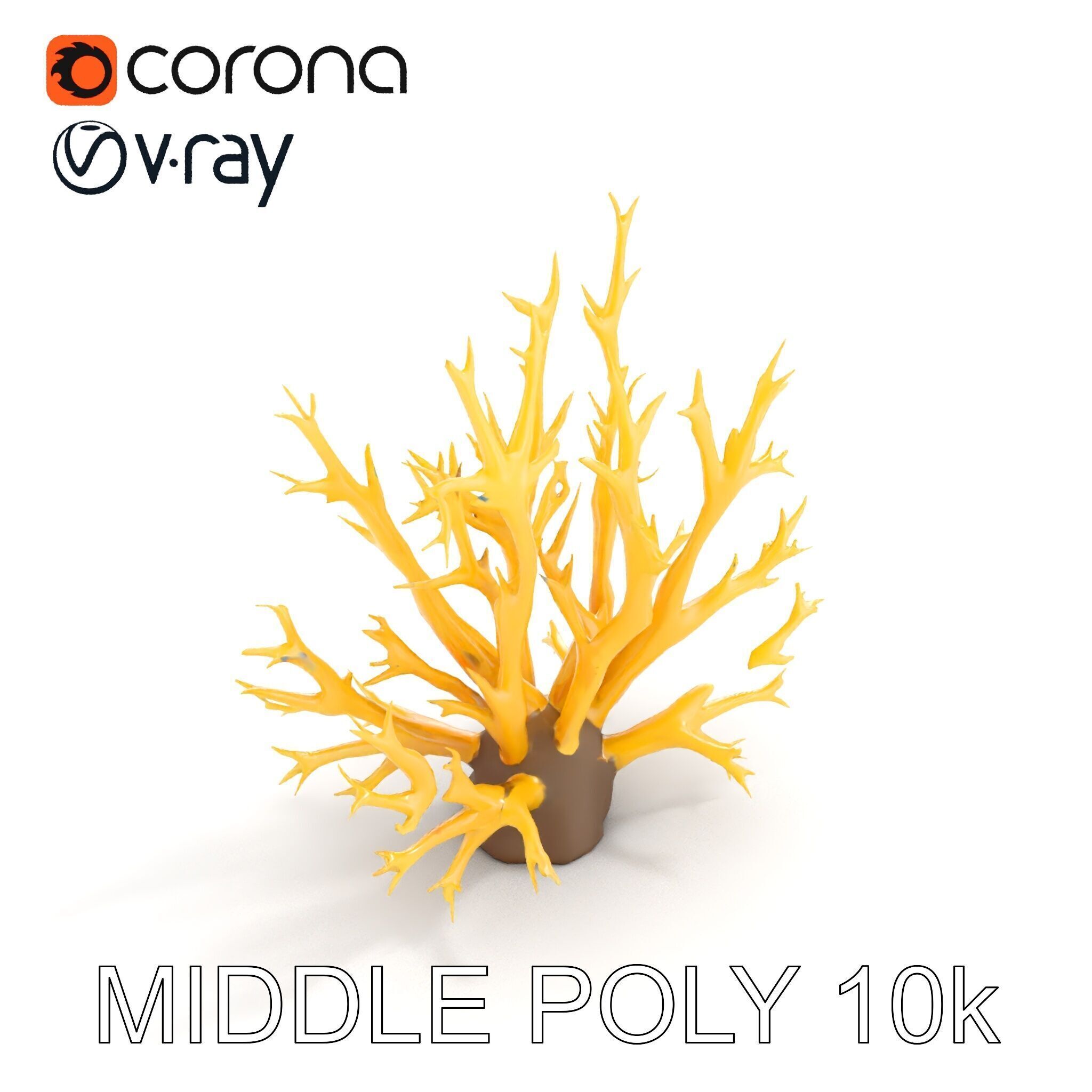 Realistic Coral Model Pack for Marine Environments Low-poly 3D model_6