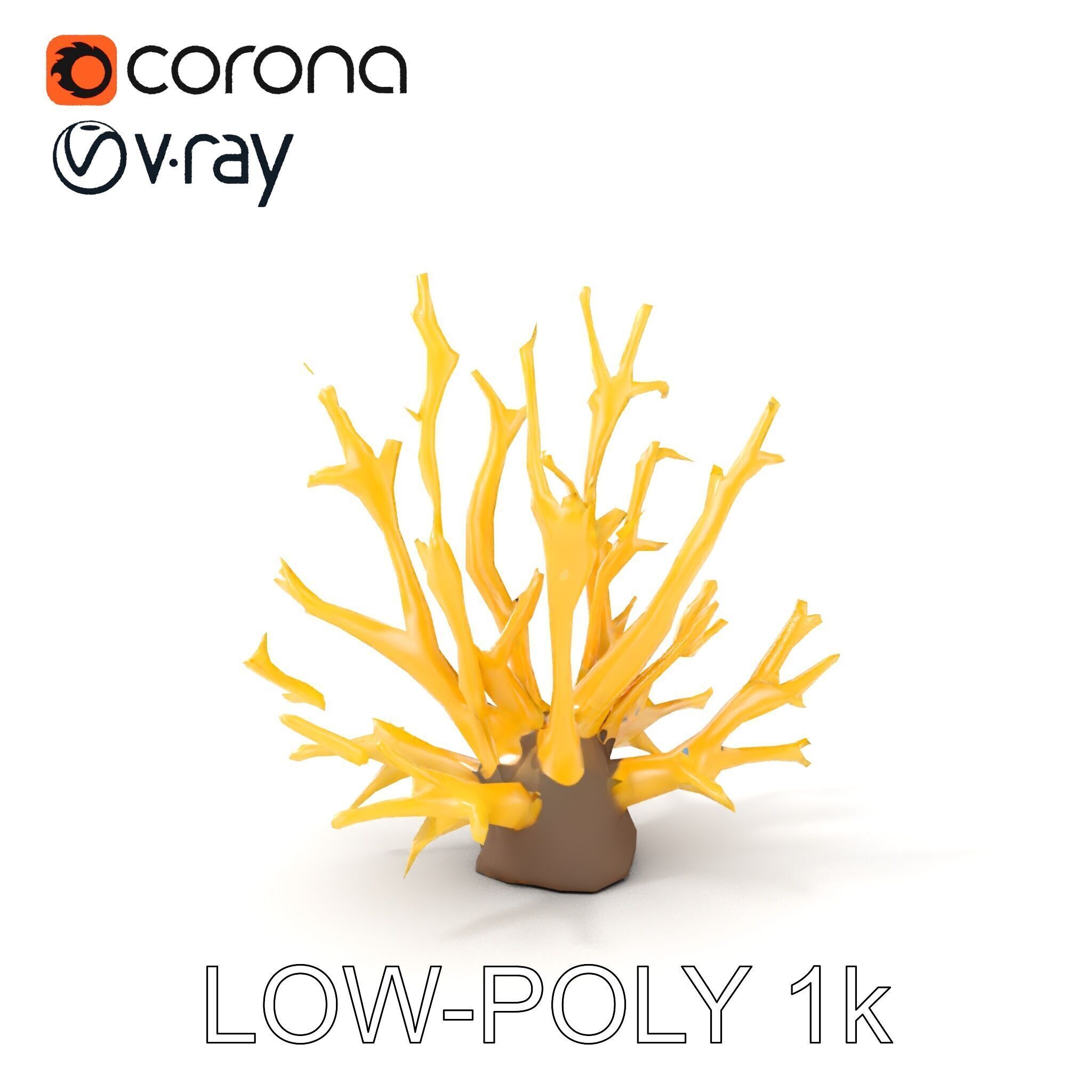 Realistic Coral Model Pack for Marine Environments Low-poly 3D model_9