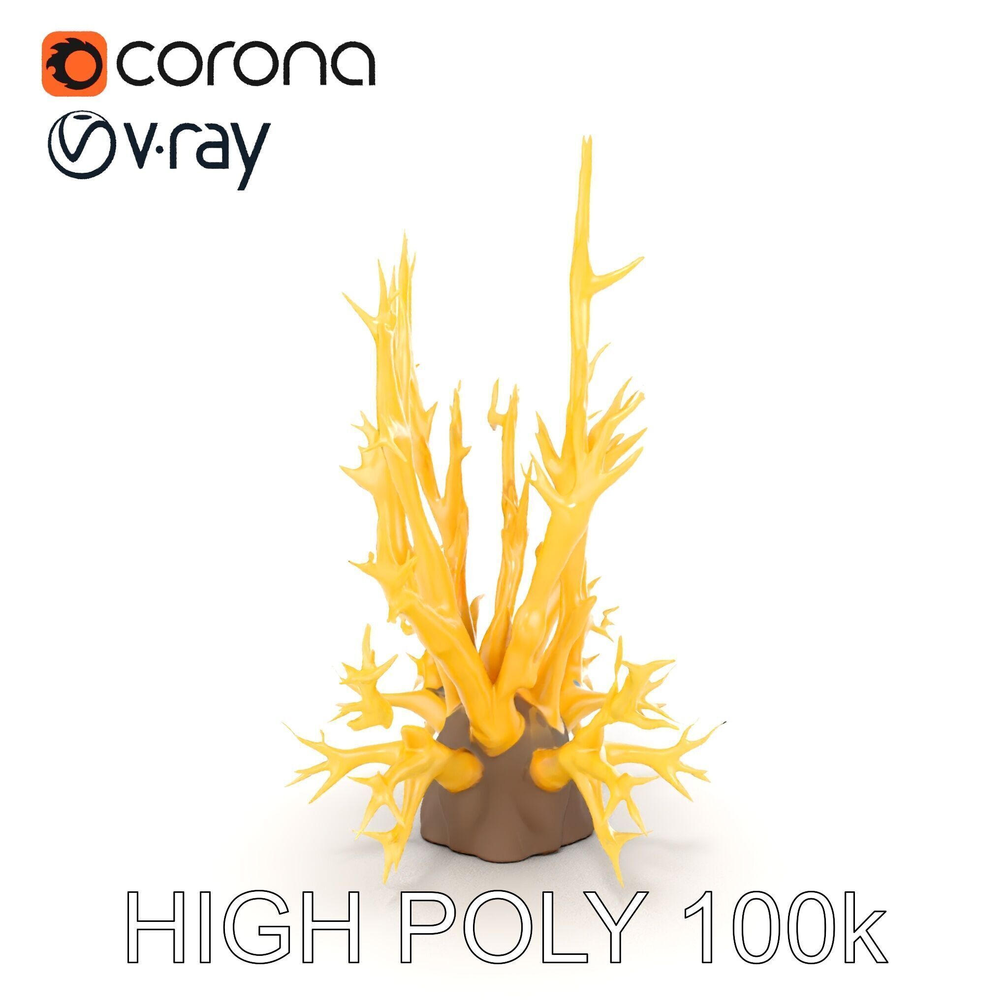 Realistic Coral Model Pack for Marine Environments Low-poly 3D model_23