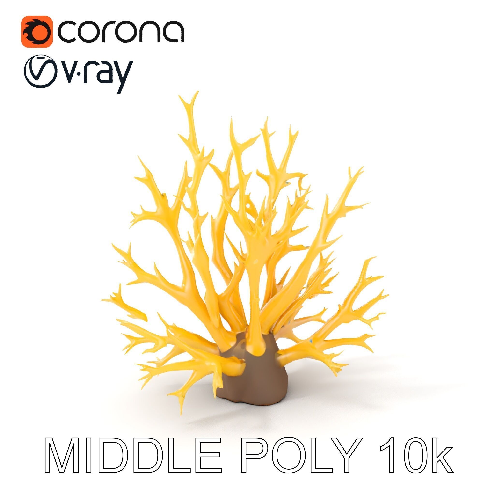Realistic Coral Model Pack for Marine Environments Low-poly 3D model_21