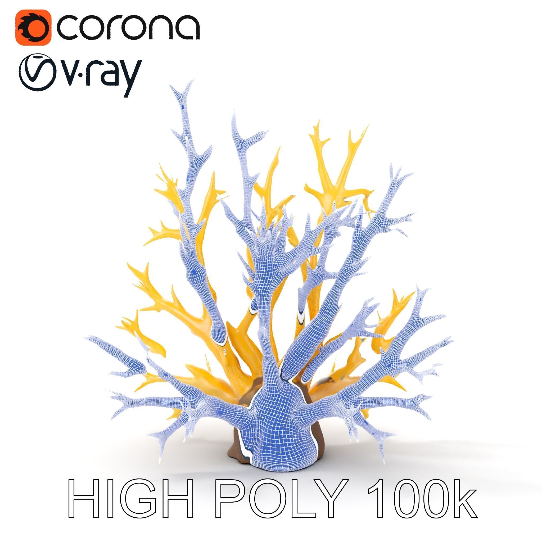 Realistic Coral Model Pack for Marine Environments Low-poly 3D model_35