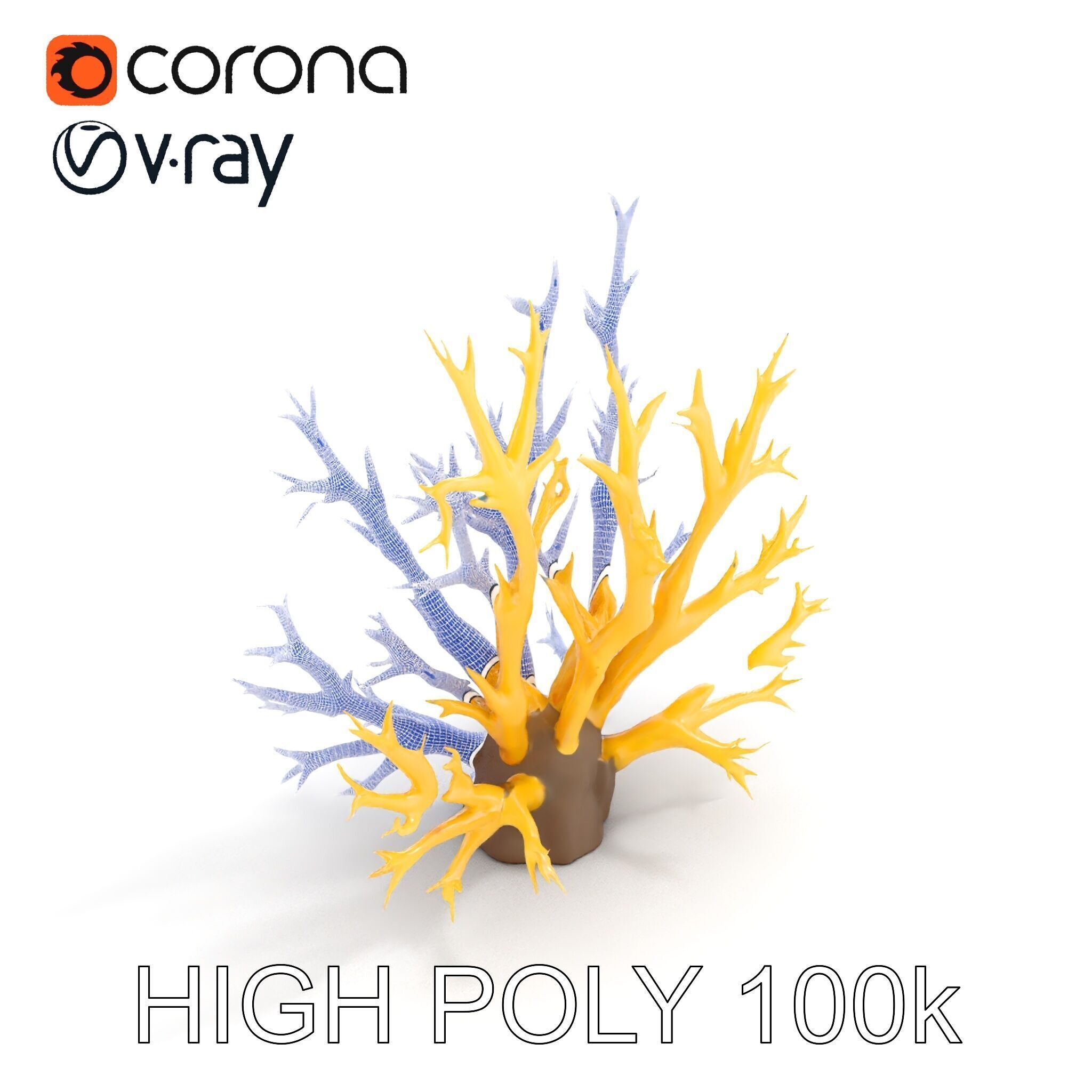 Realistic Coral Model Pack for Marine Environments Low-poly 3D model_29