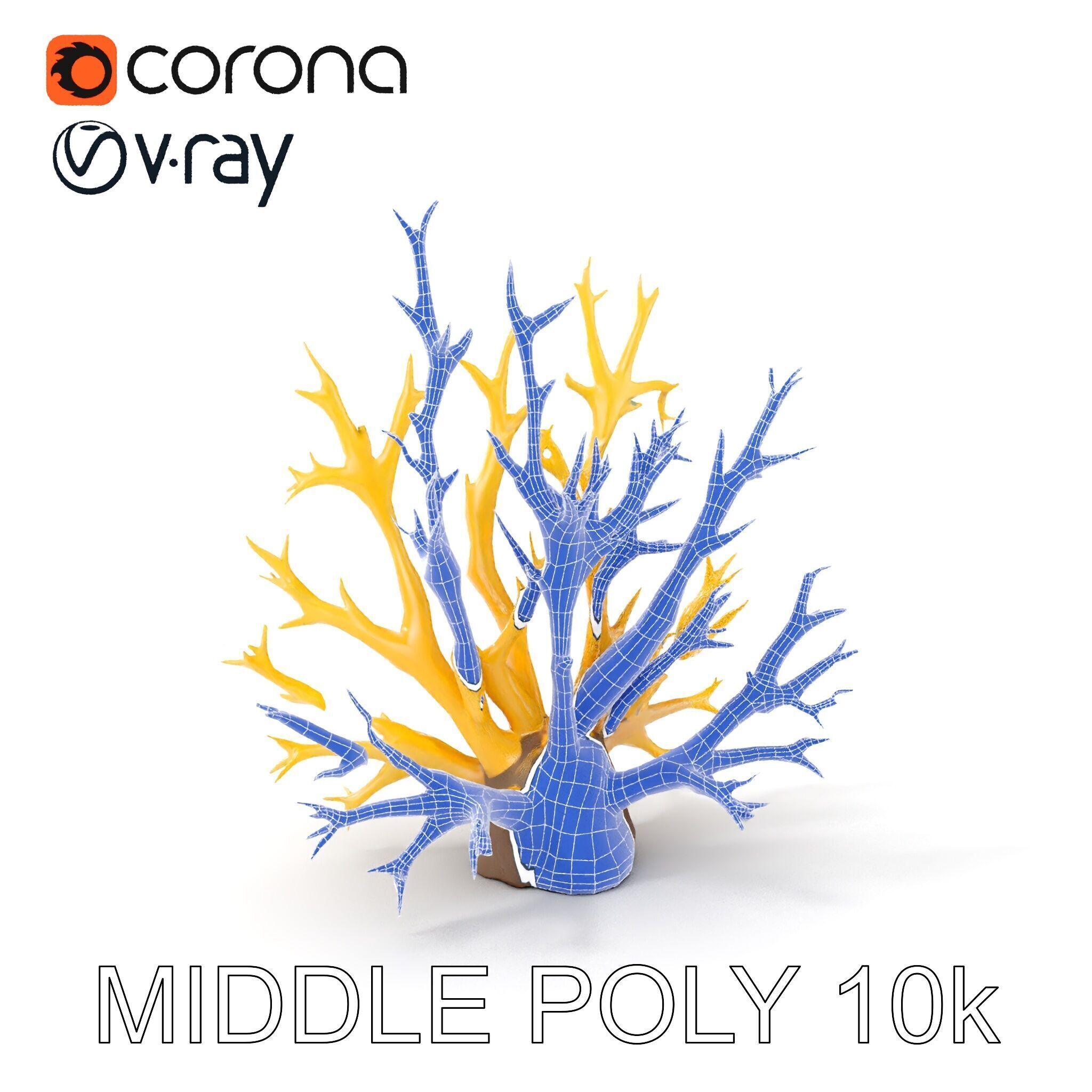 Realistic Coral Model Pack for Marine Environments Low-poly 3D model_10