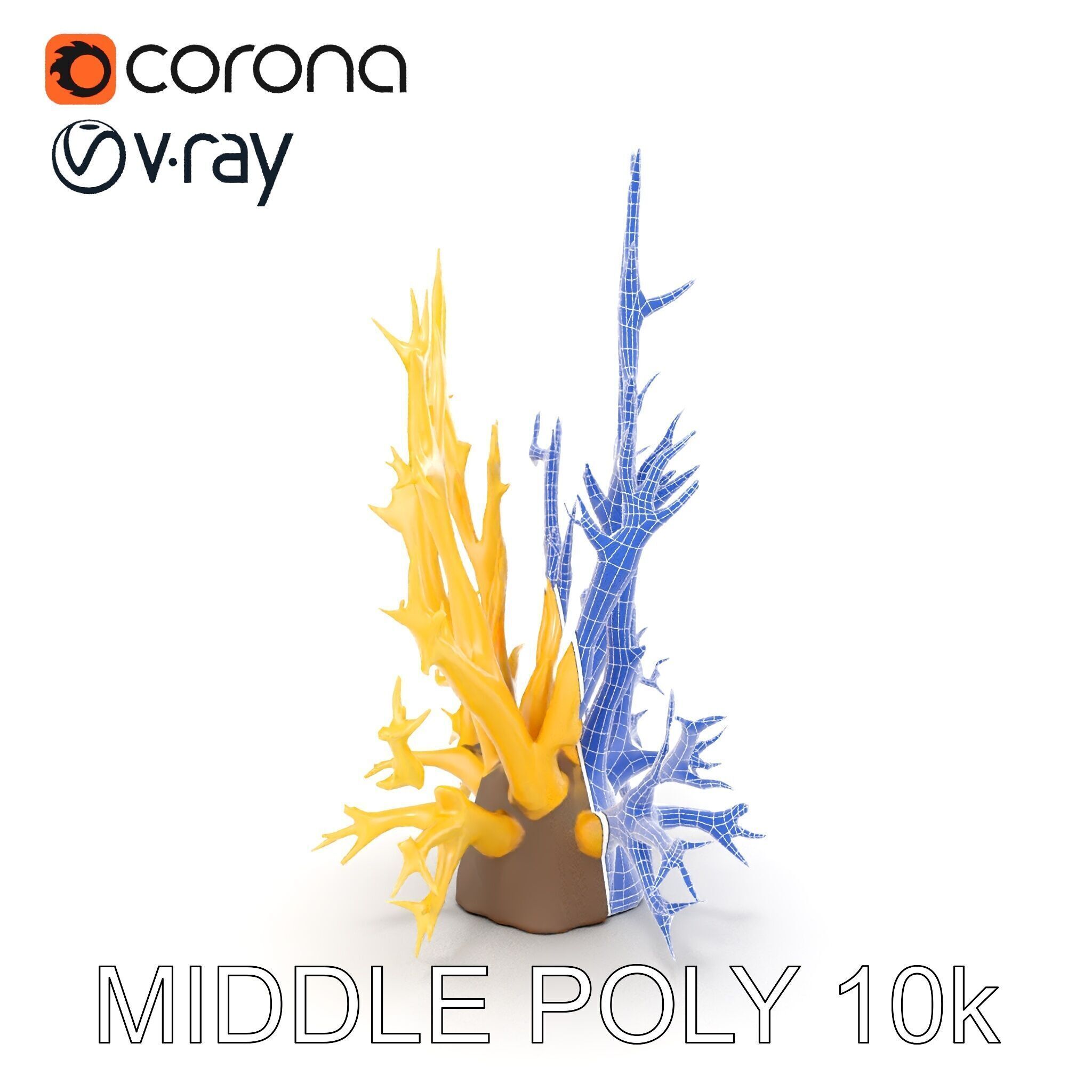 Realistic Coral Model Pack for Marine Environments Low-poly 3D model_27