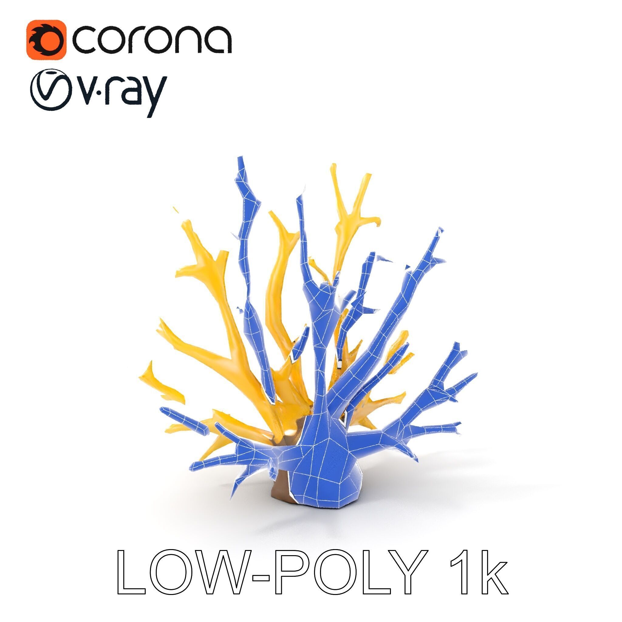 Realistic Coral Model Pack for Marine Environments Low-poly 3D model_11