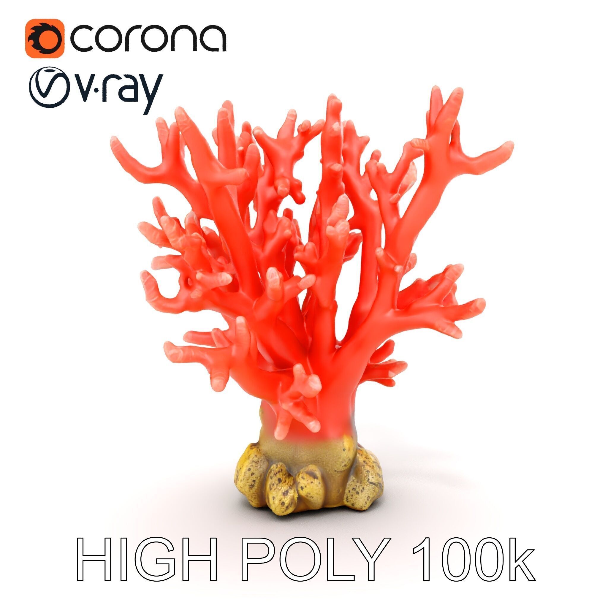Pink Coral Reef D Model Pack Low-poly 3D model_17