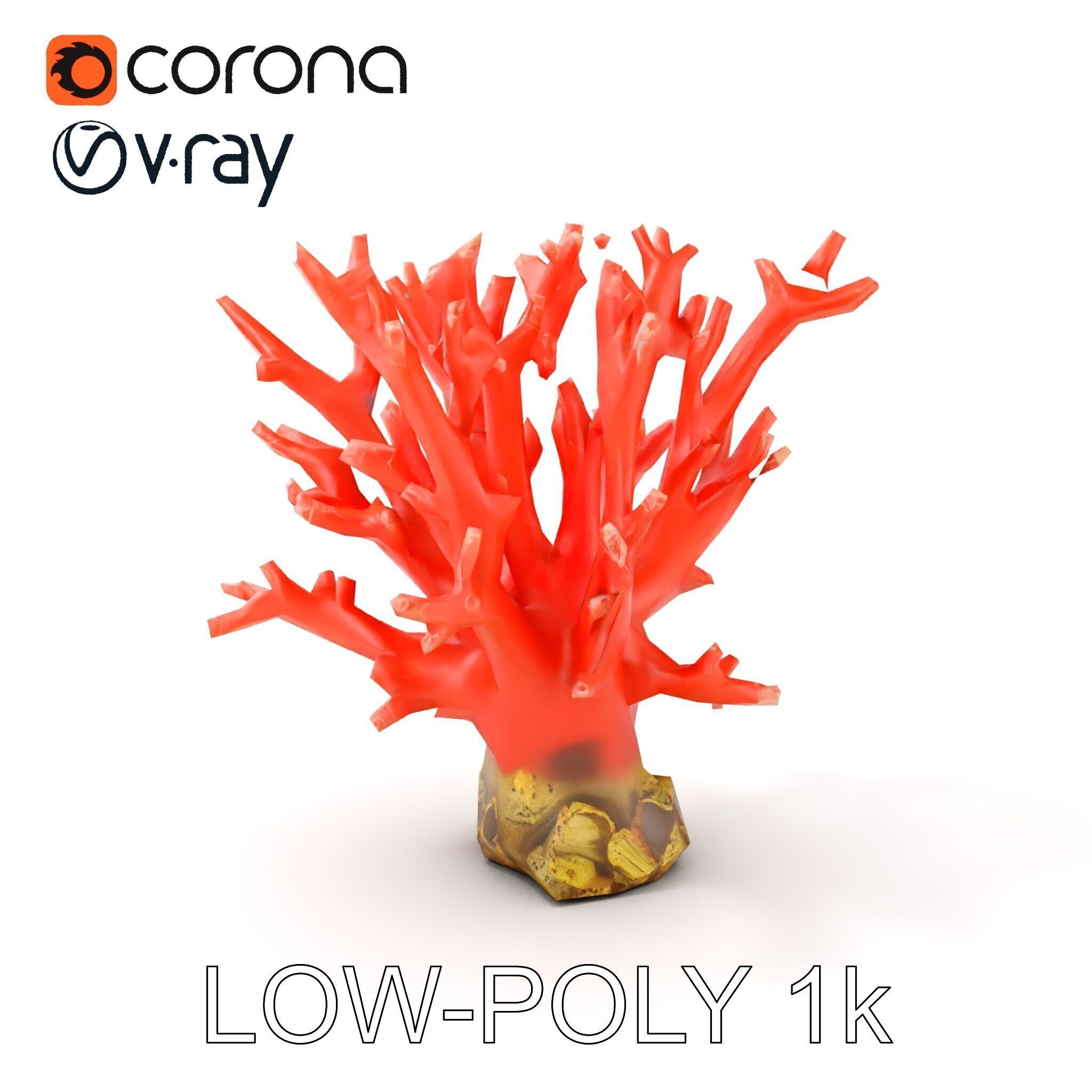 Pink Coral Reef D Model Pack Low-poly 3D model_16