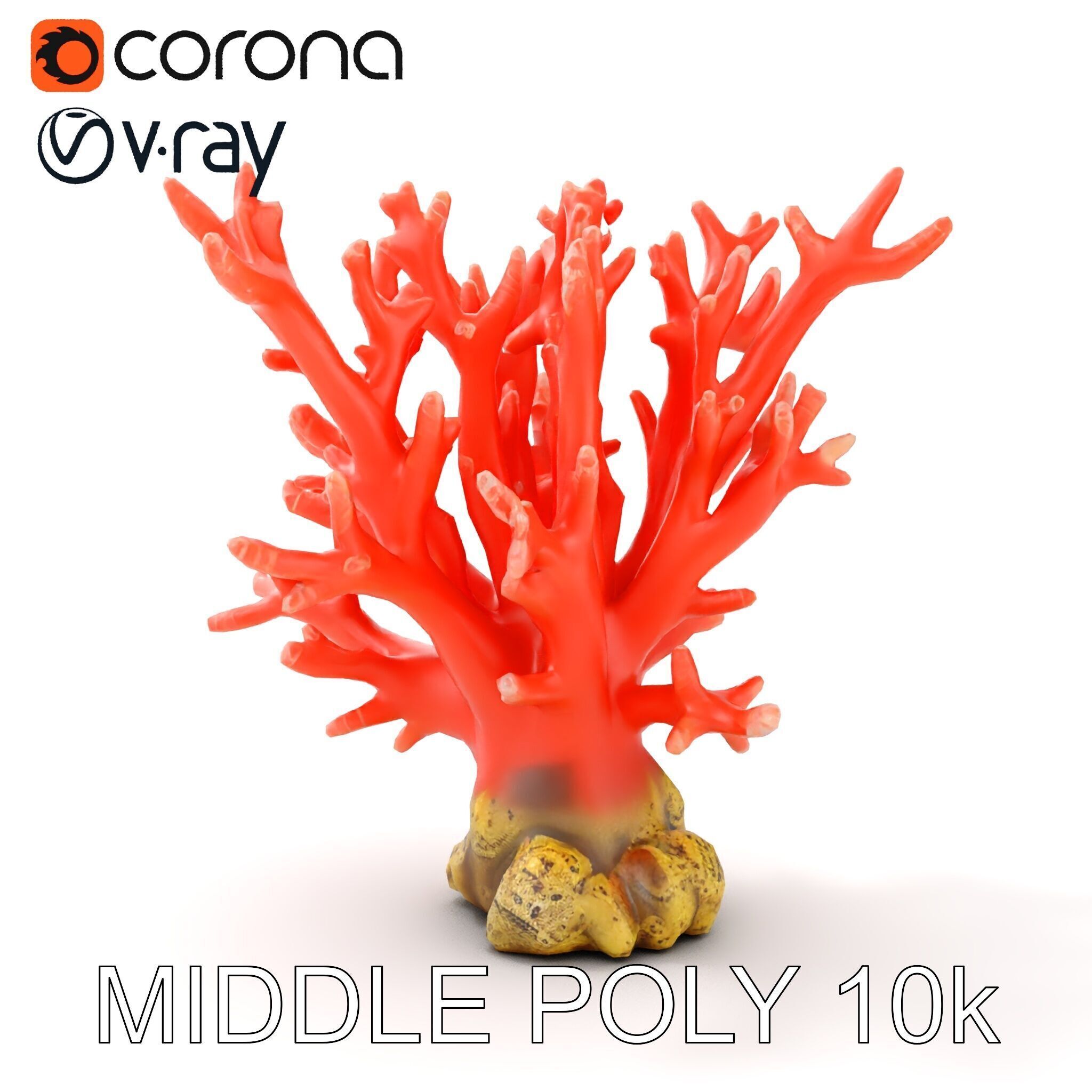 Pink Coral Reef D Model Pack Low-poly 3D model_18