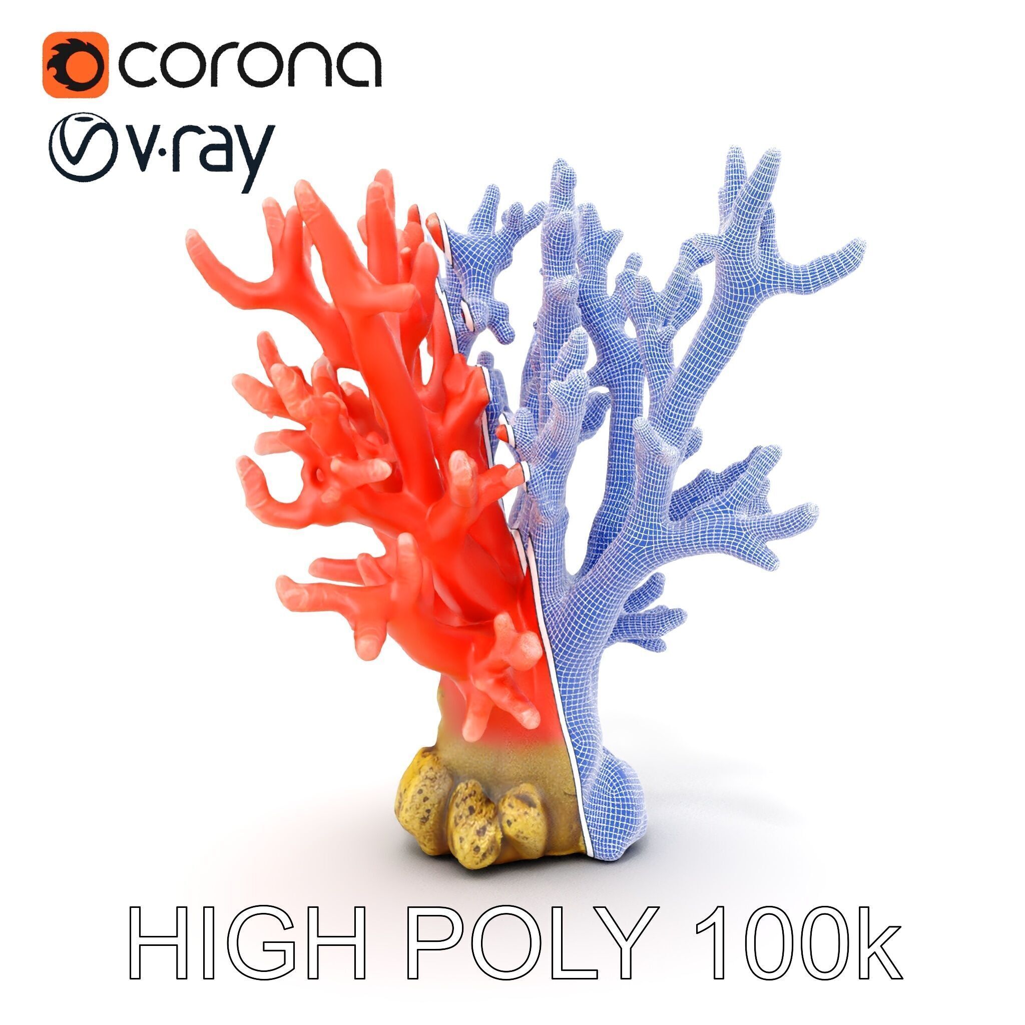 Pink Coral Reef D Model Pack Low-poly 3D model_35
