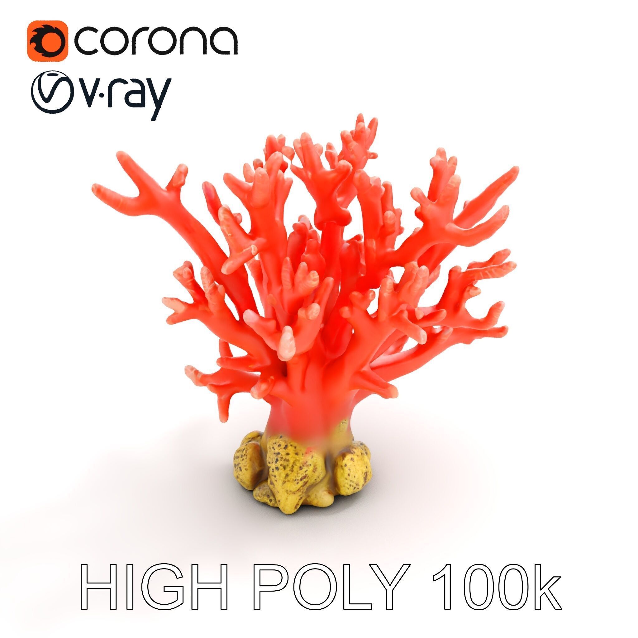 Pink Coral Reef D Model Pack Low-poly 3D model_14