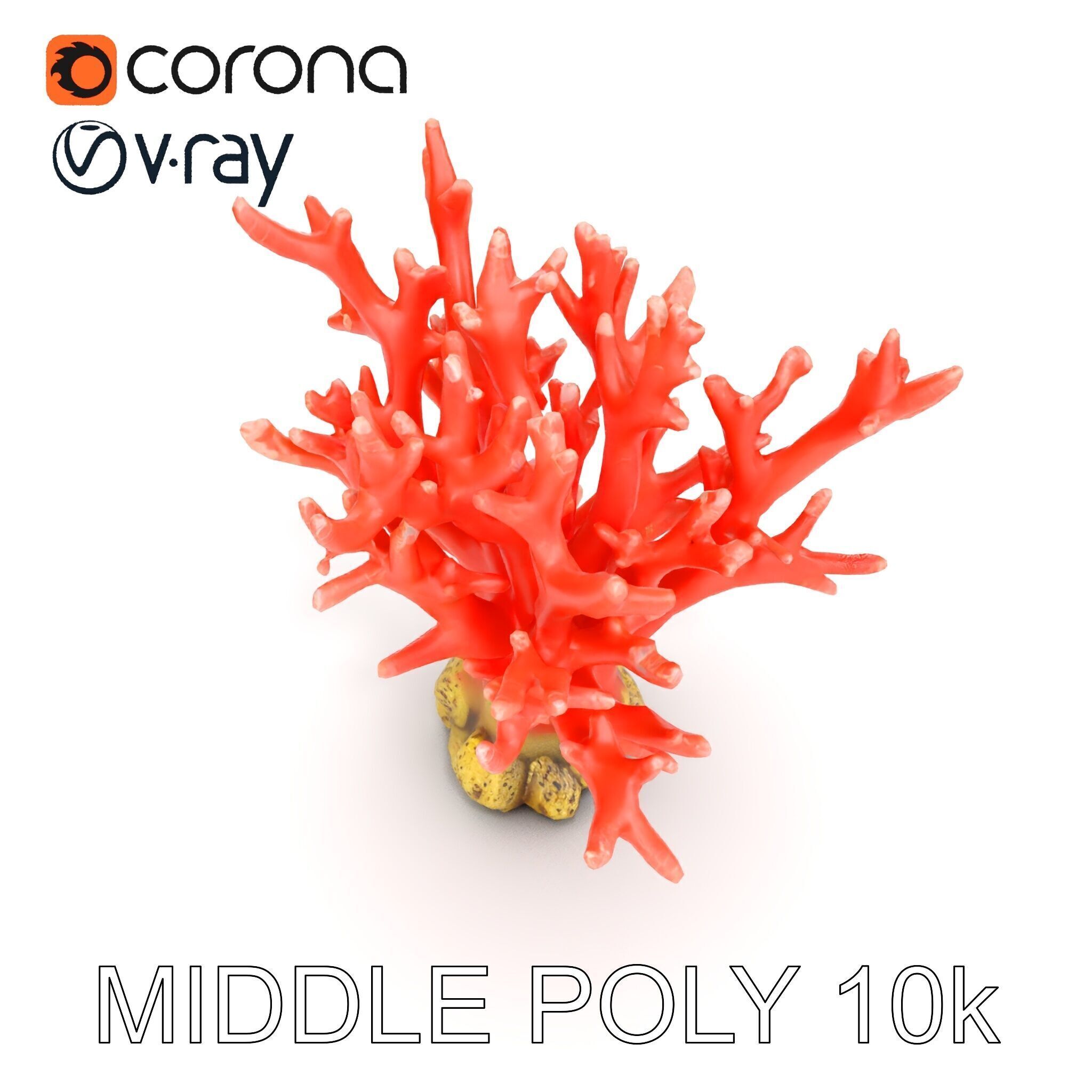 Pink Coral Reef D Model Pack Low-poly 3D model_6