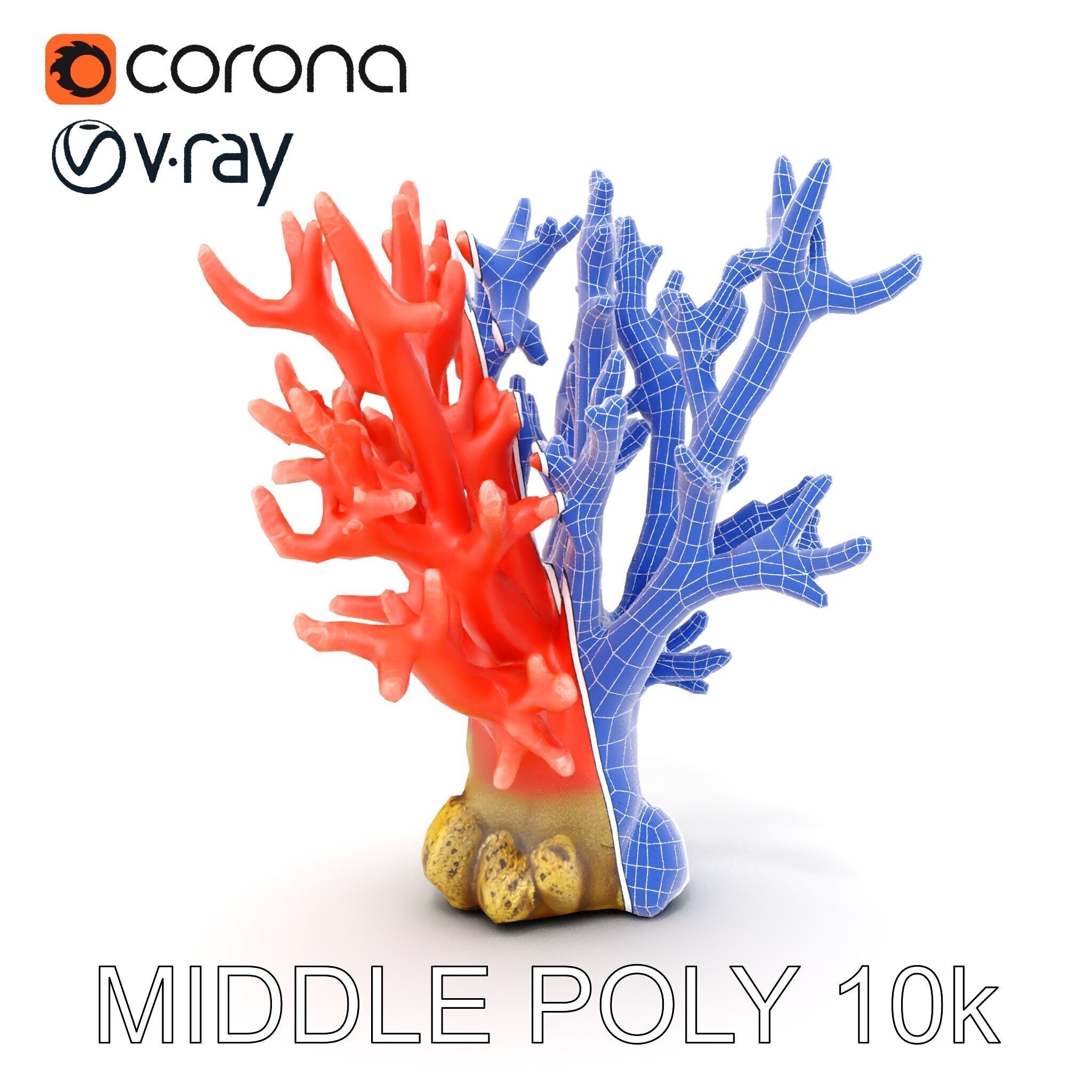 Pink Coral Reef D Model Pack Low-poly 3D model_27