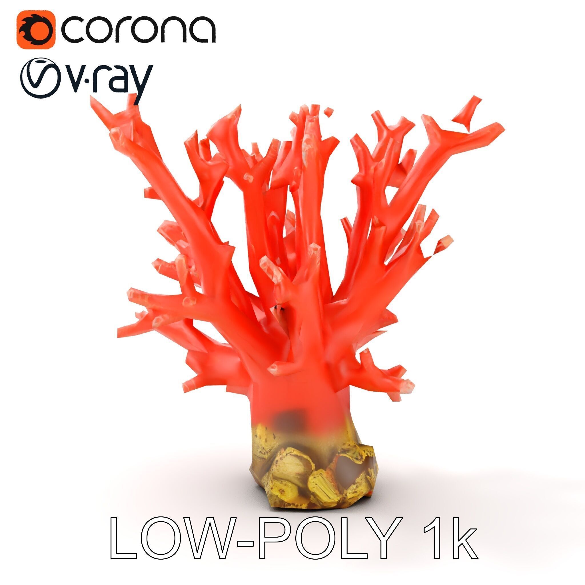 Pink Coral Reef D Model Pack Low-poly 3D model_13