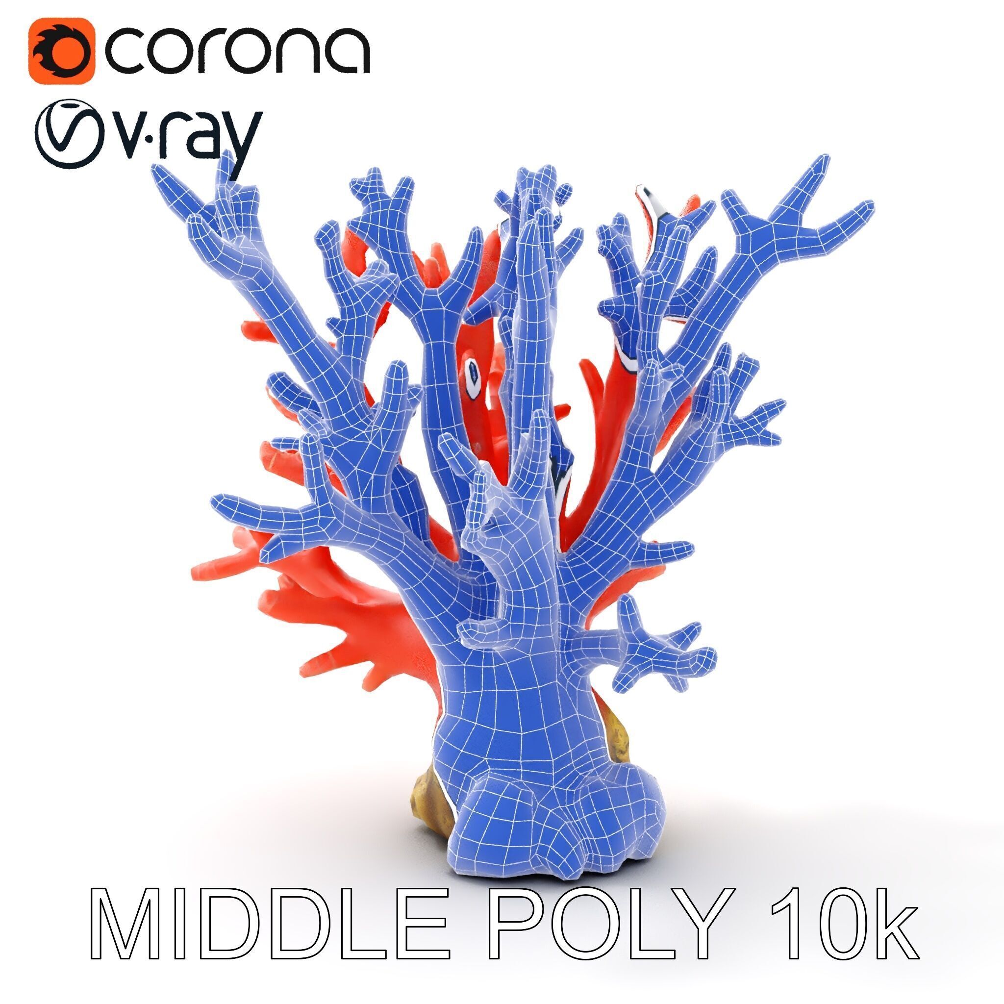 Pink Coral Reef D Model Pack Low-poly 3D model_30