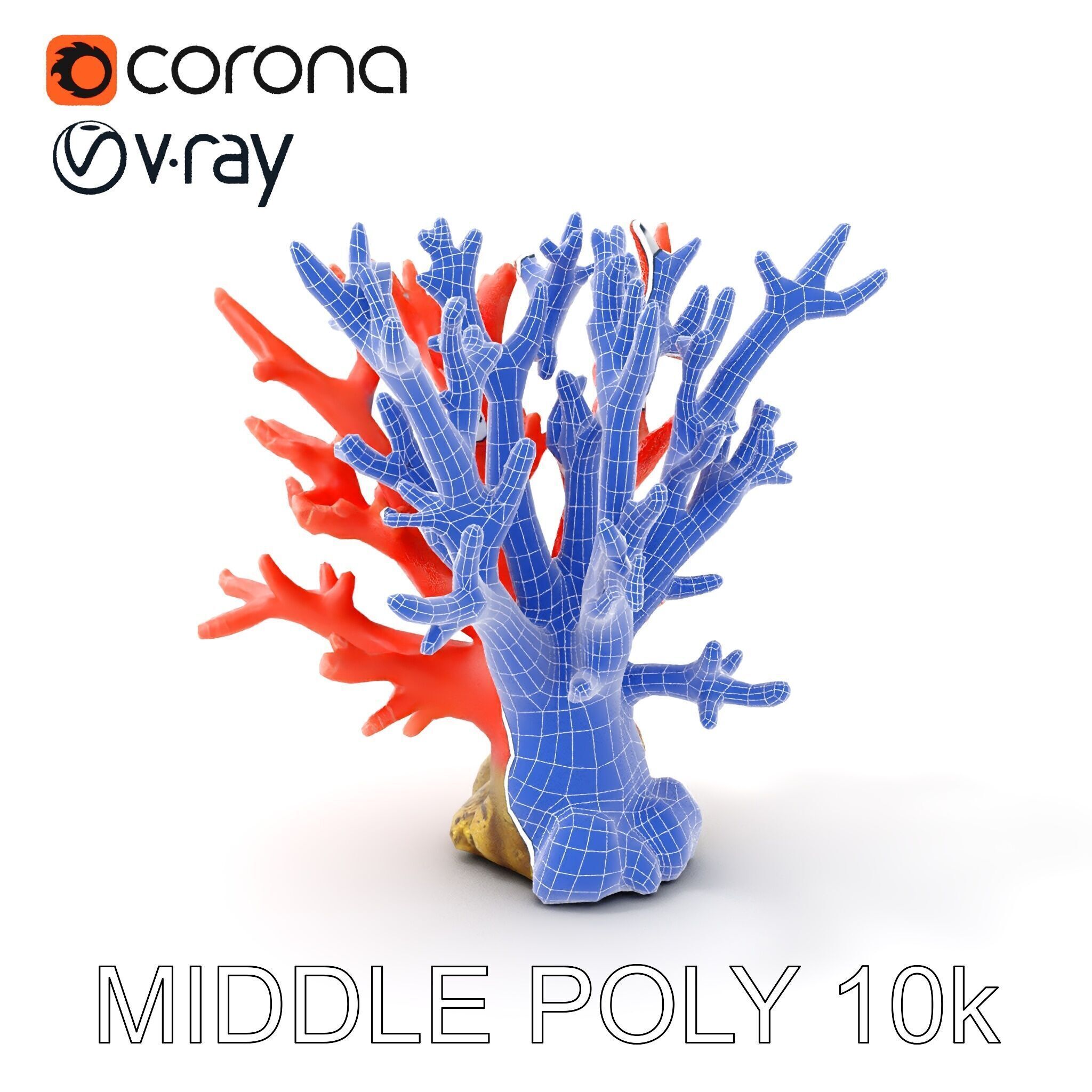 Pink Coral Reef D Model Pack Low-poly 3D model_10