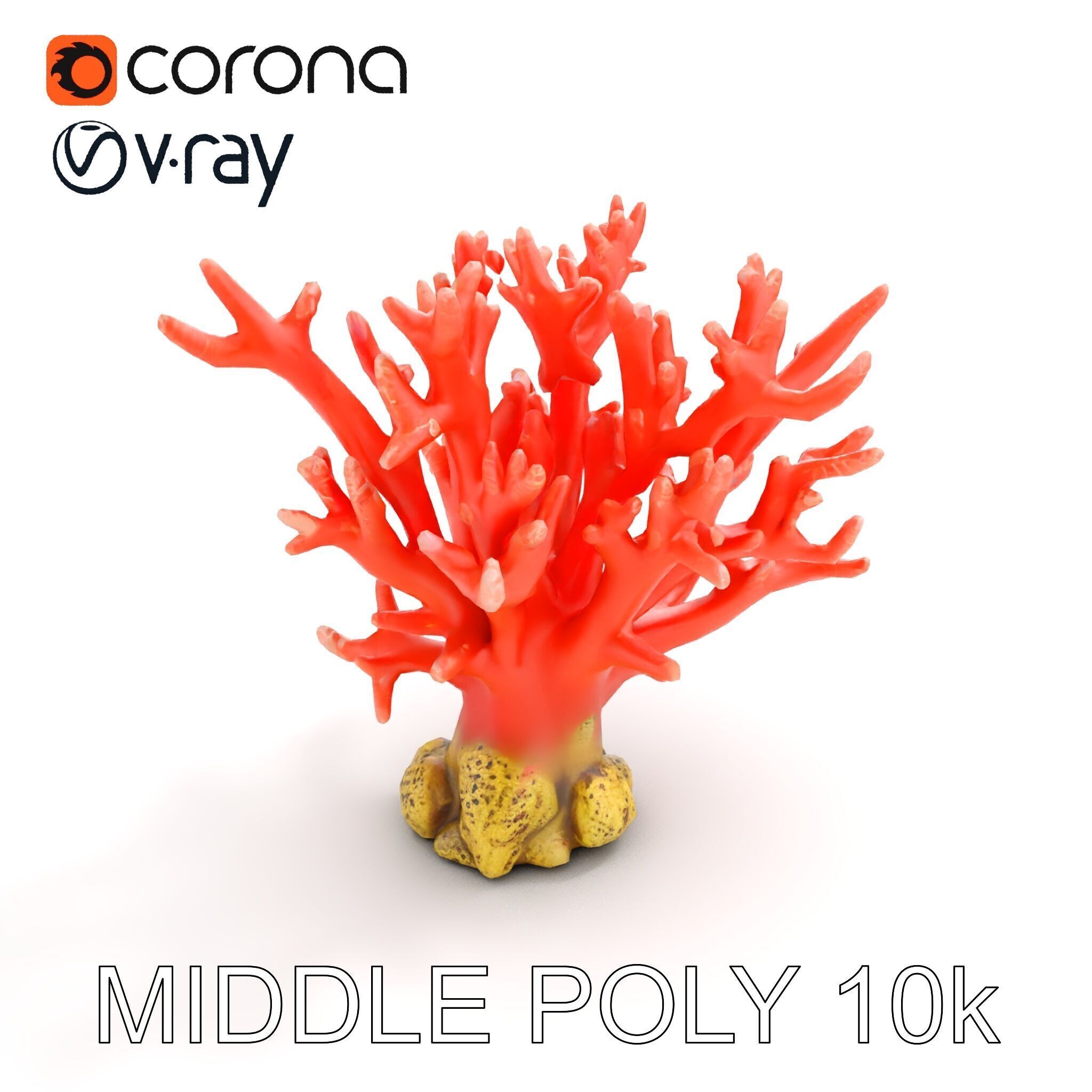 Pink Coral Reef D Model Pack Low-poly 3D model_15