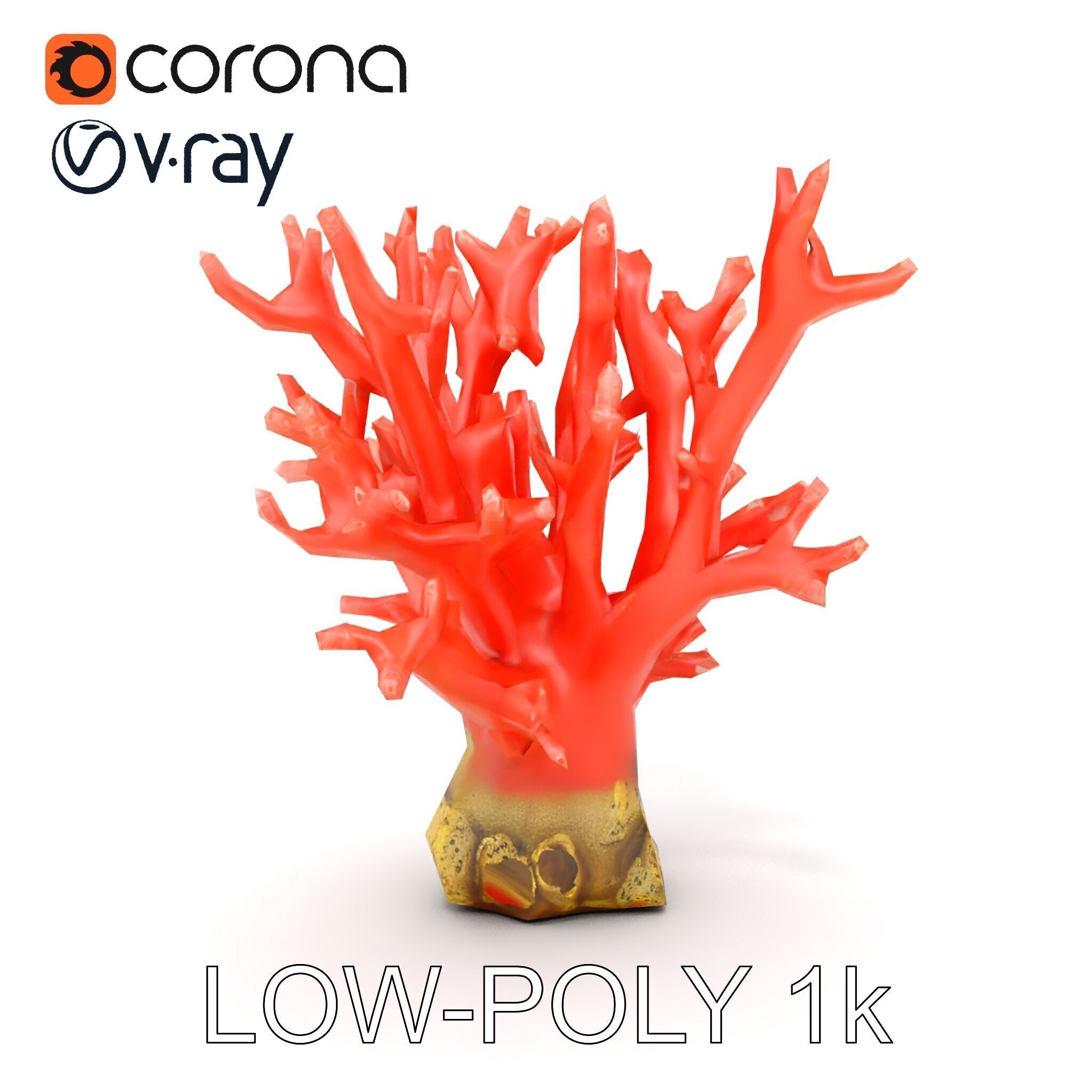 Pink Coral Reef D Model Pack Low-poly 3D model_25