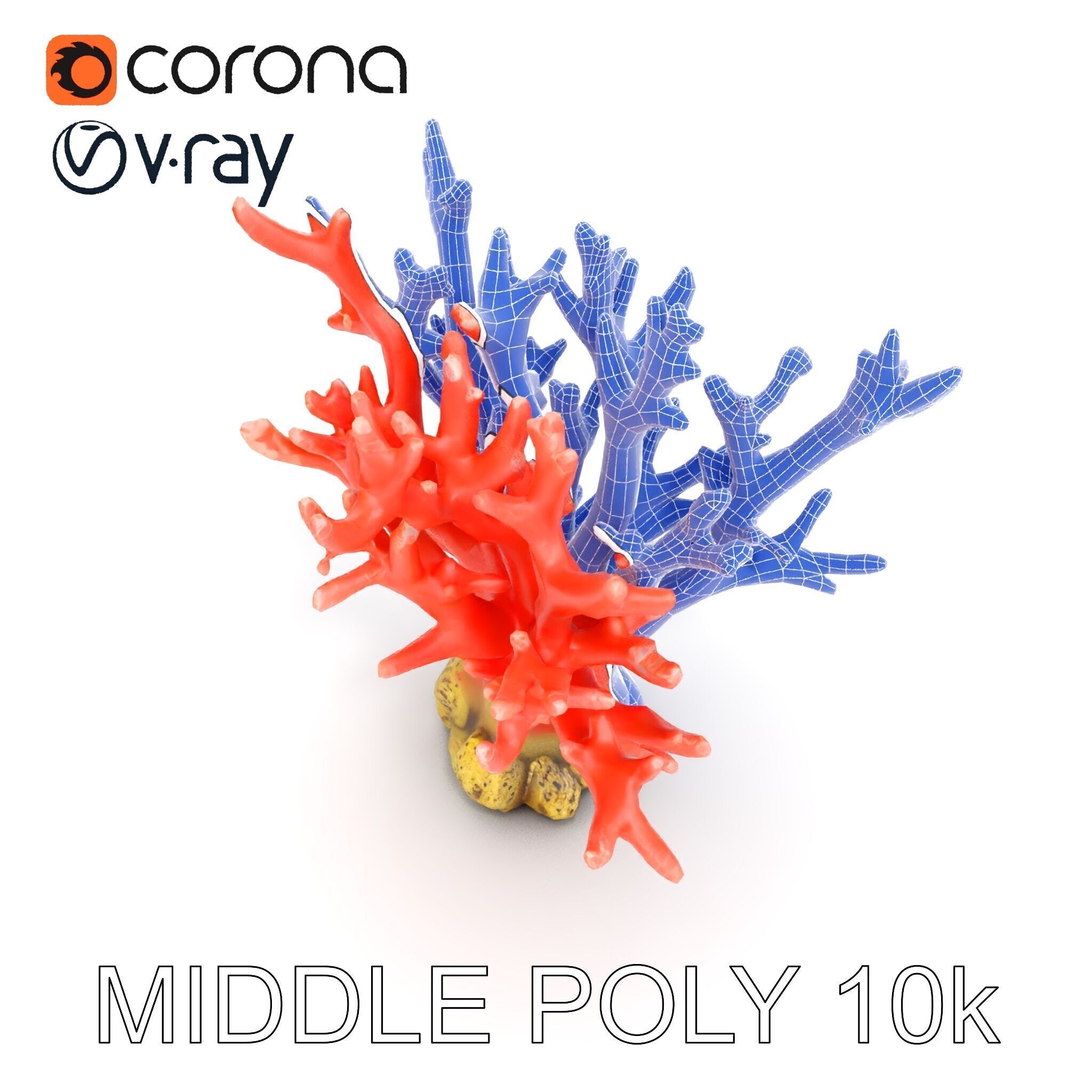 Pink Coral Reef D Model Pack Low-poly 3D model_21