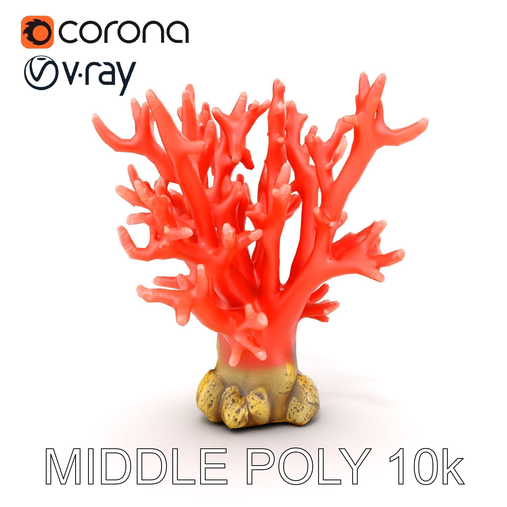 Pink Coral Reef D Model Pack Low-poly 3D model_12