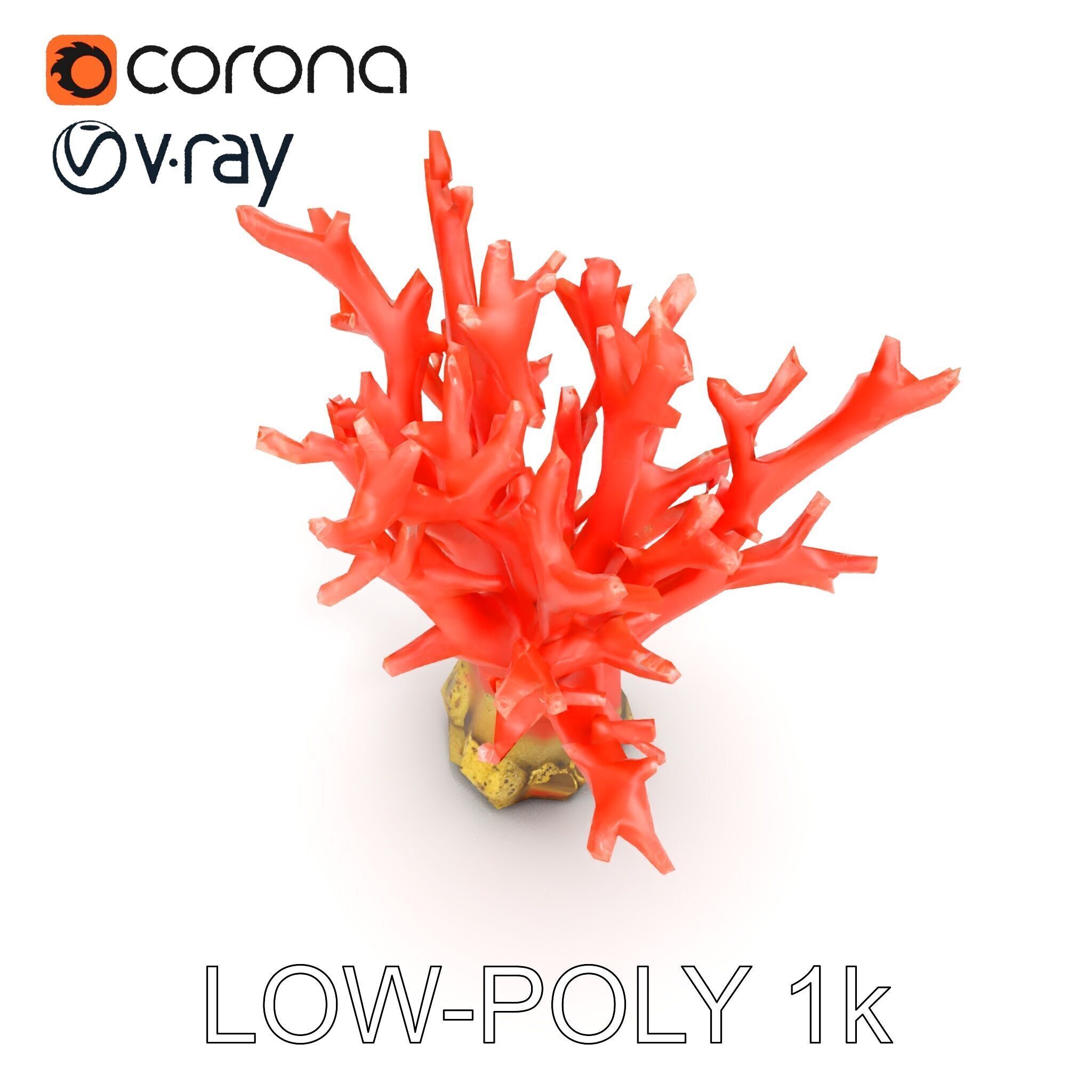 Pink Coral Reef D Model Pack Low-poly 3D model_22