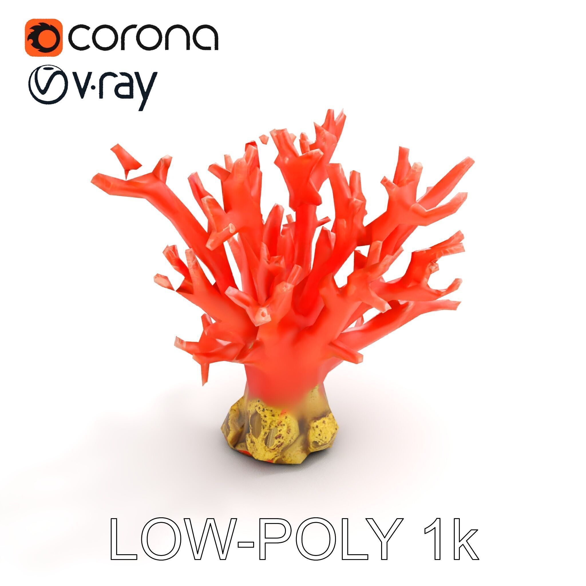 Pink Coral Reef D Model Pack Low-poly 3D model_7