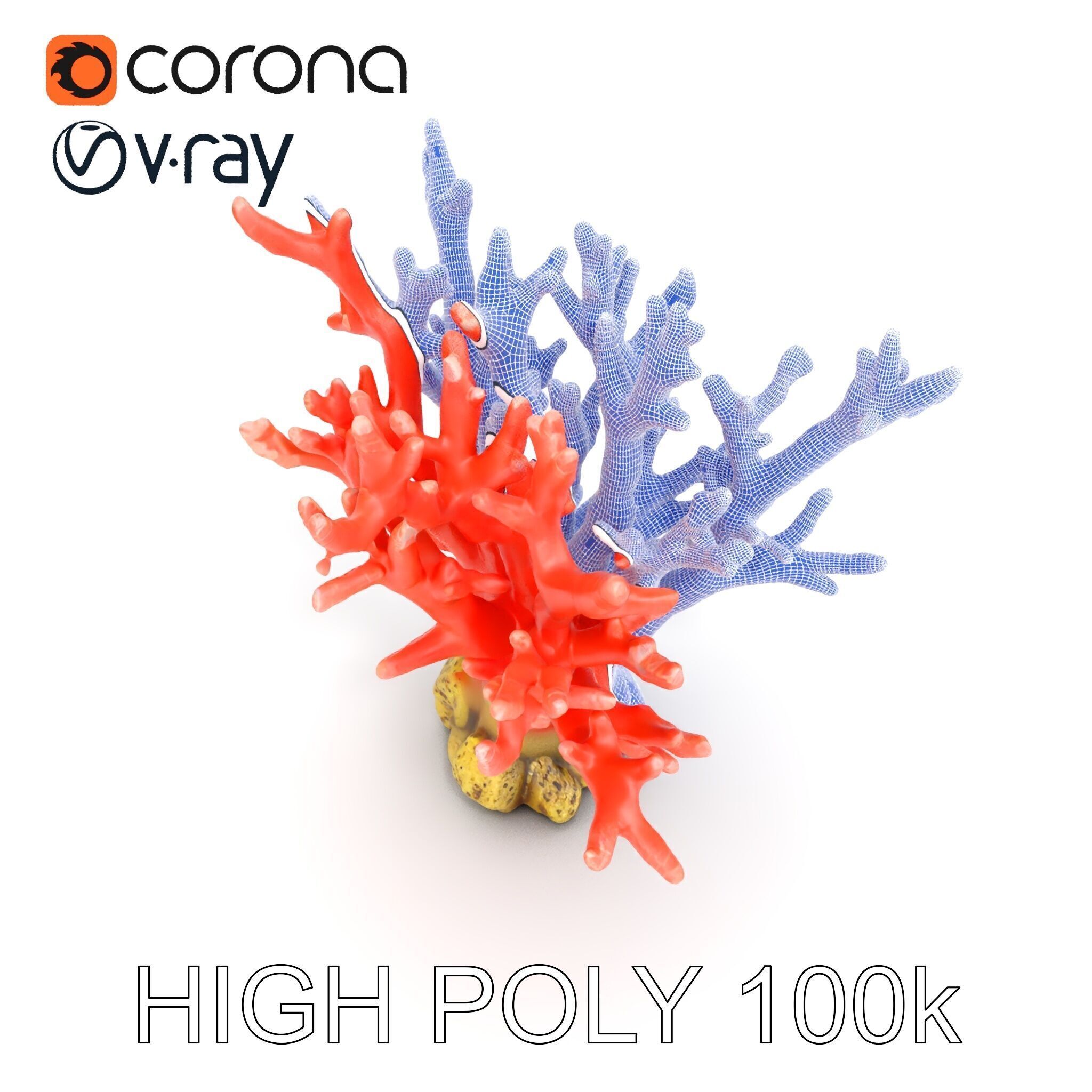 Pink Coral Reef D Model Pack Low-poly 3D model_29