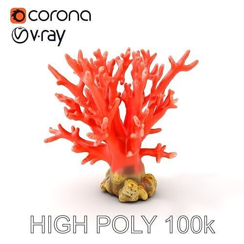 Pink Coral Reef D Model Pack Low-poly 3D model